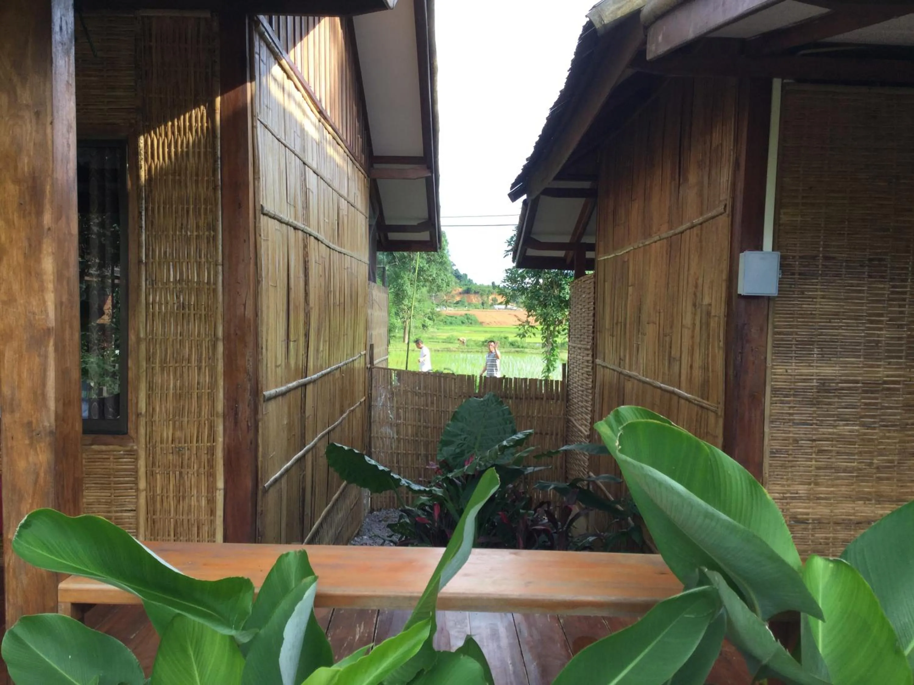 Garden view in Phoxay Ngam Resort
