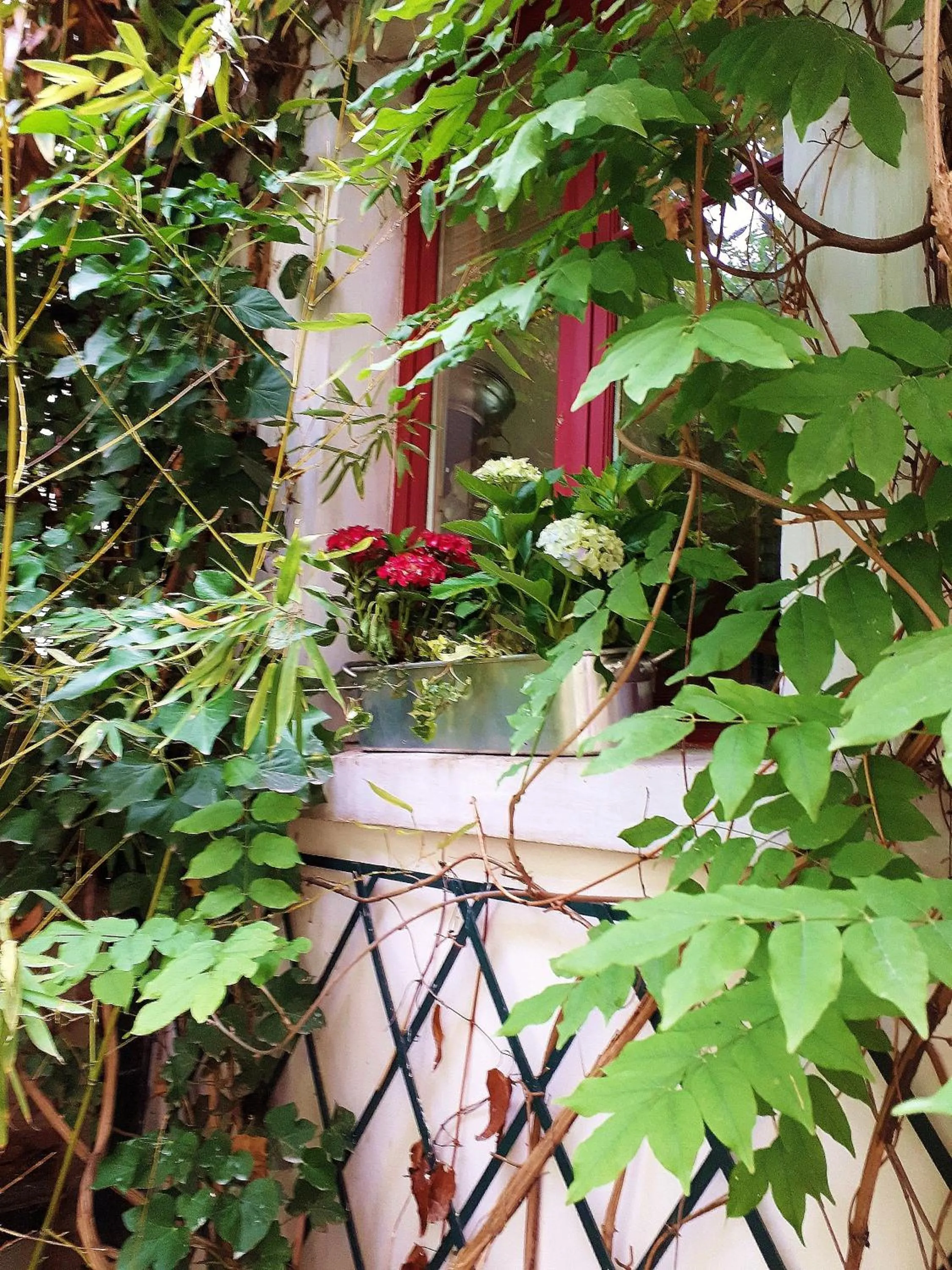 lapetitemaisondeparis