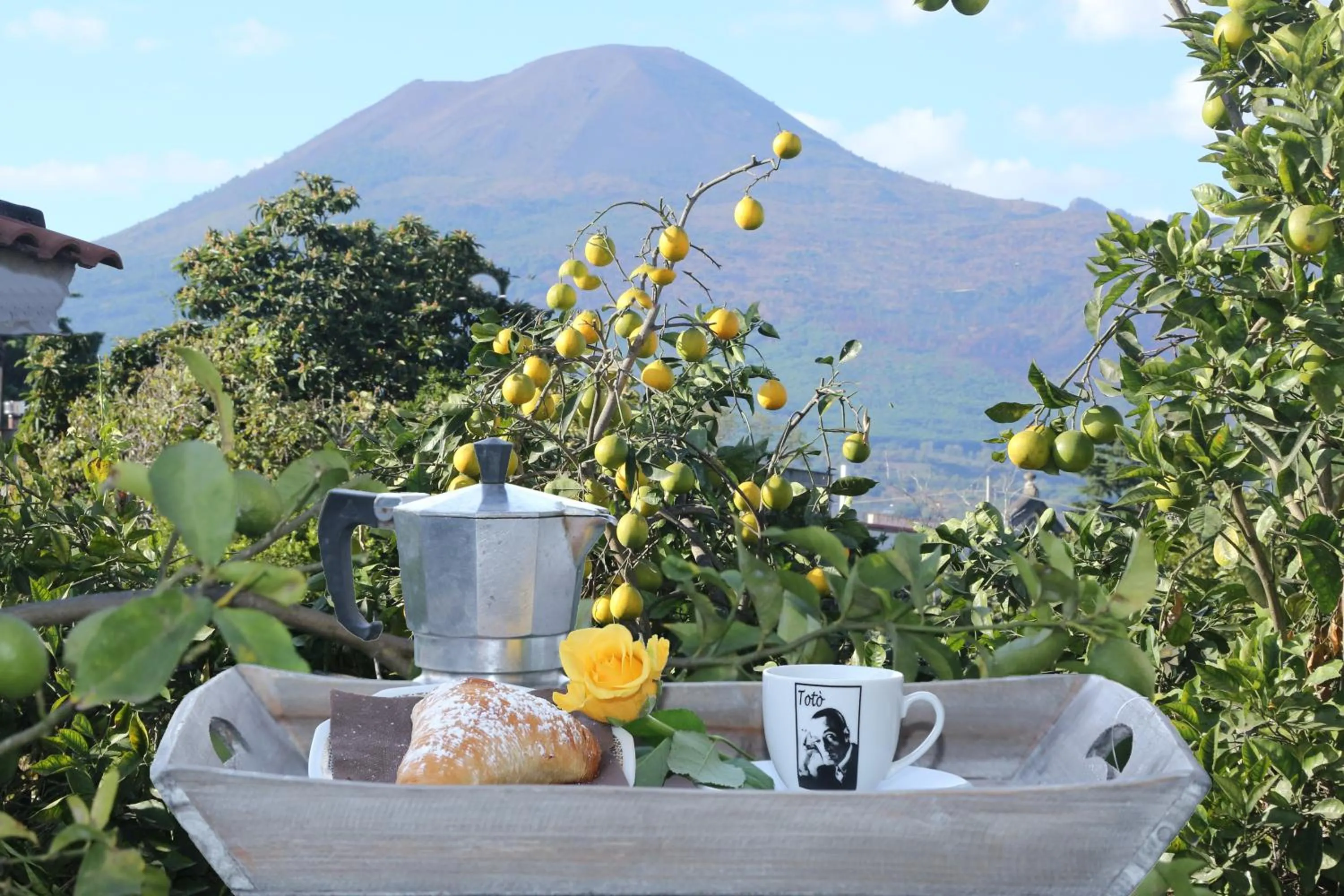 Day in B&B Maison Blanche