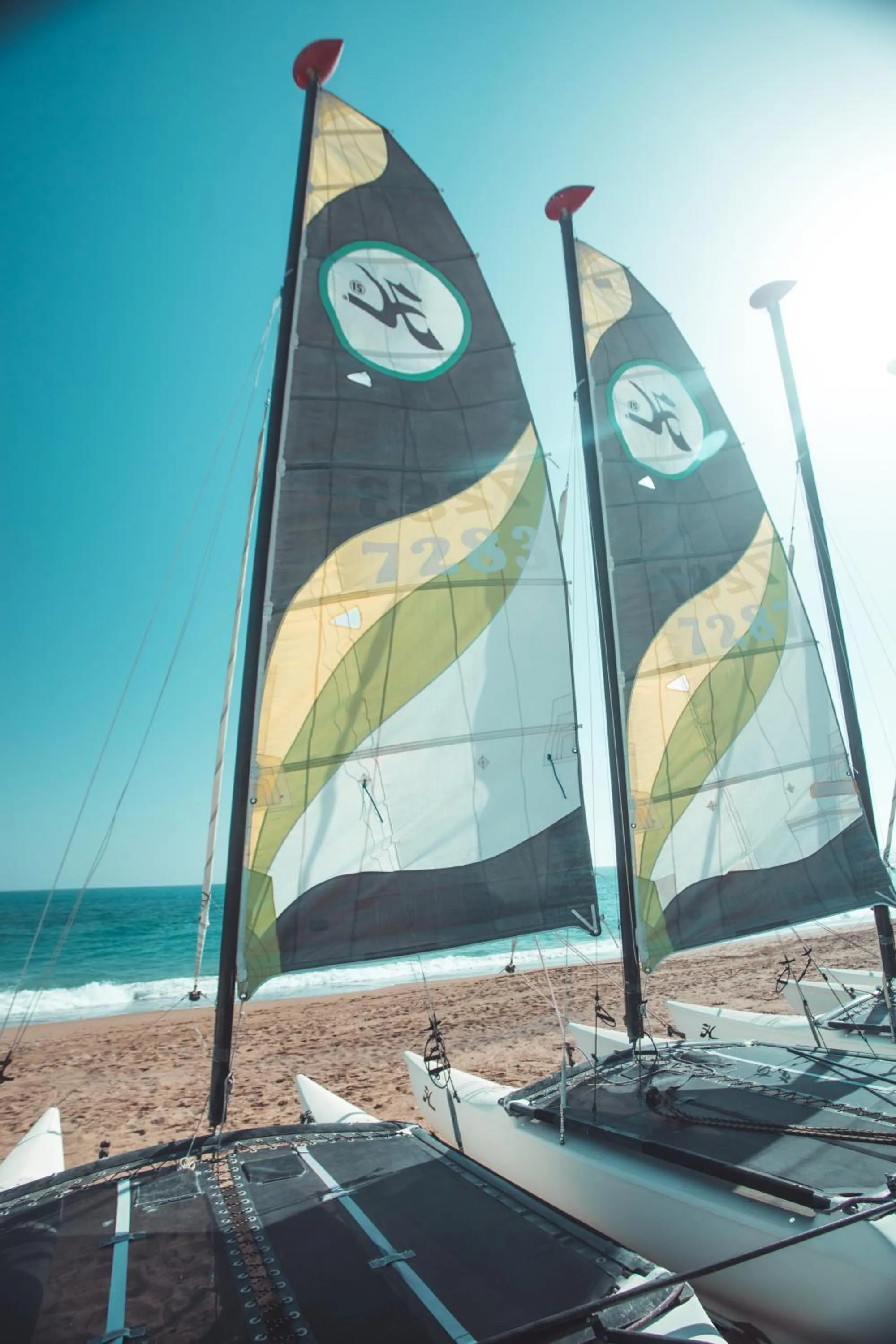 Activities in Paloma Orenda