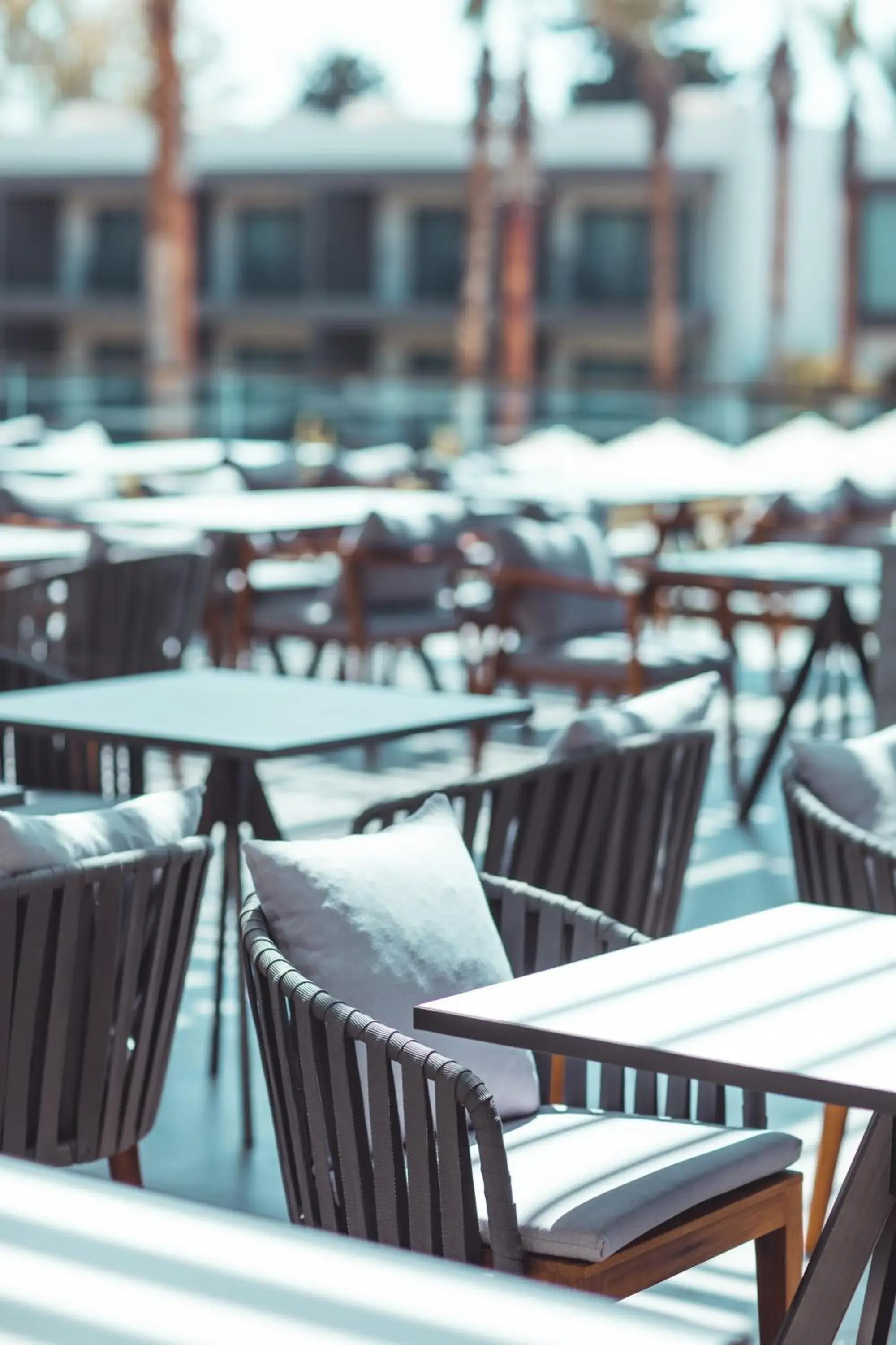 Restaurant/places to eat in Paloma Orenda Restaurant/places to eat in Paloma Orenda