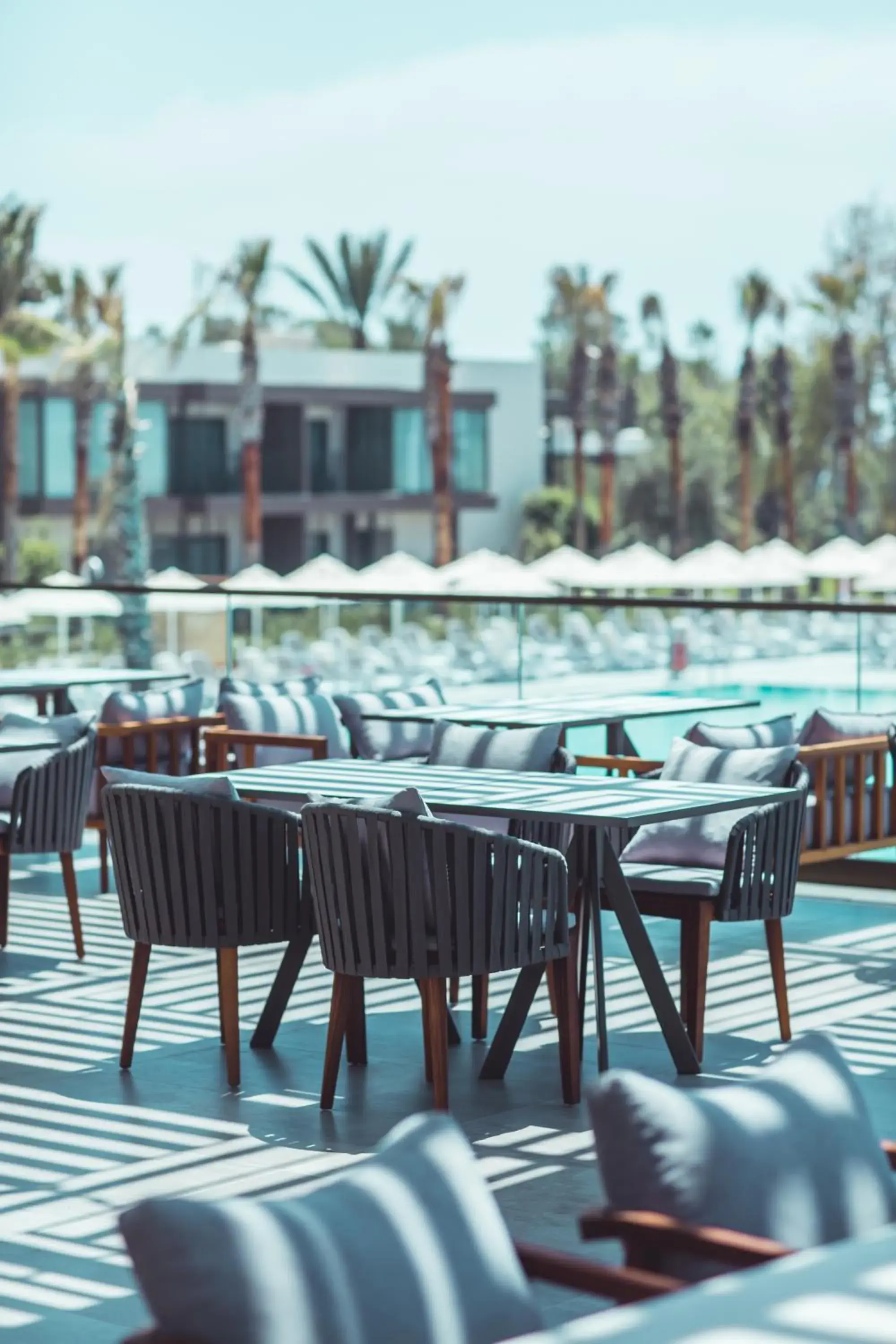 Restaurant/places to eat in Paloma Orenda Restaurant/places to eat in Paloma Orenda