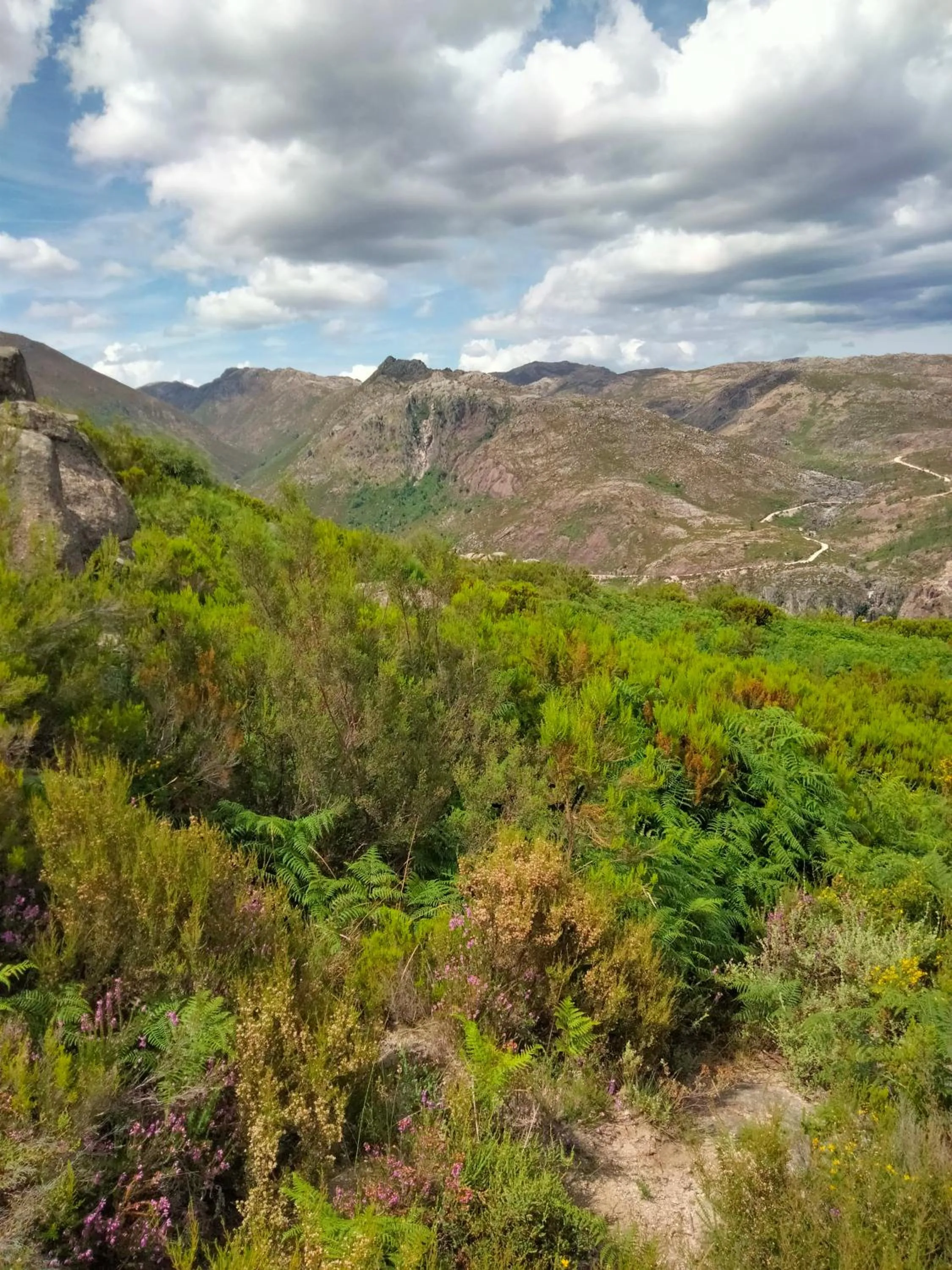 Hiking in Family Adams House Hostel