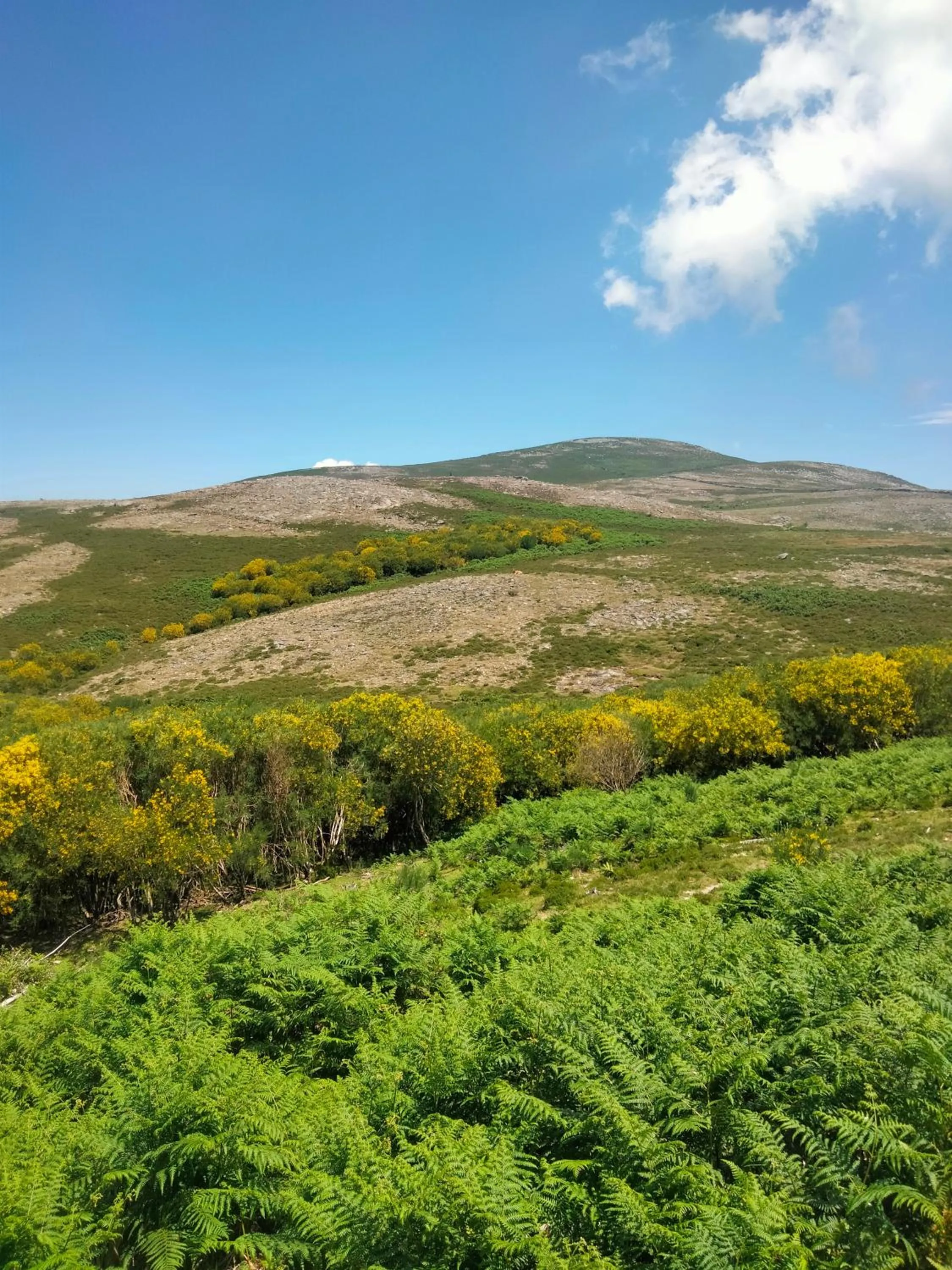Hiking in Family Adams House Hostel