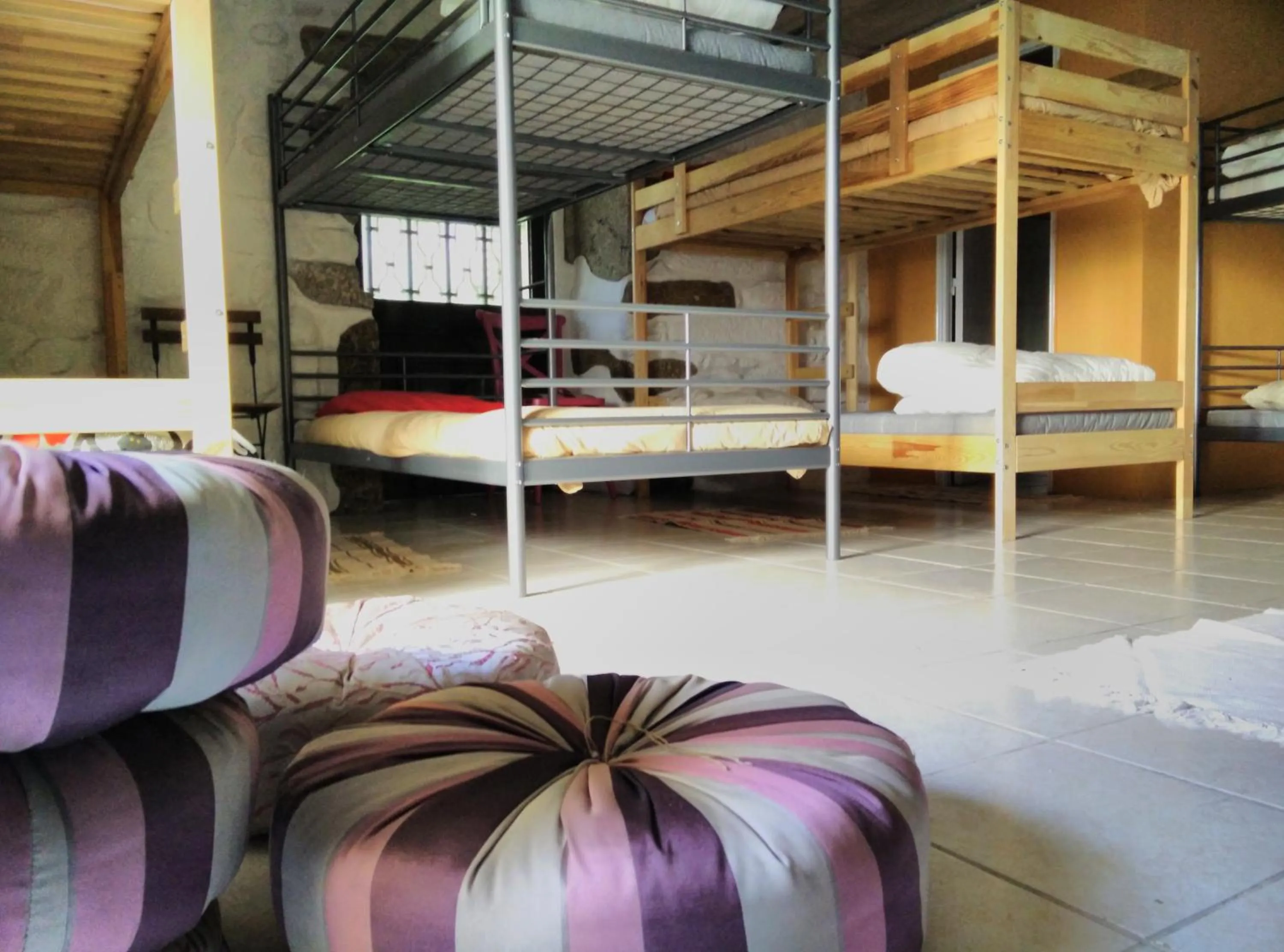 bunk bed in Family Adams House Hostel