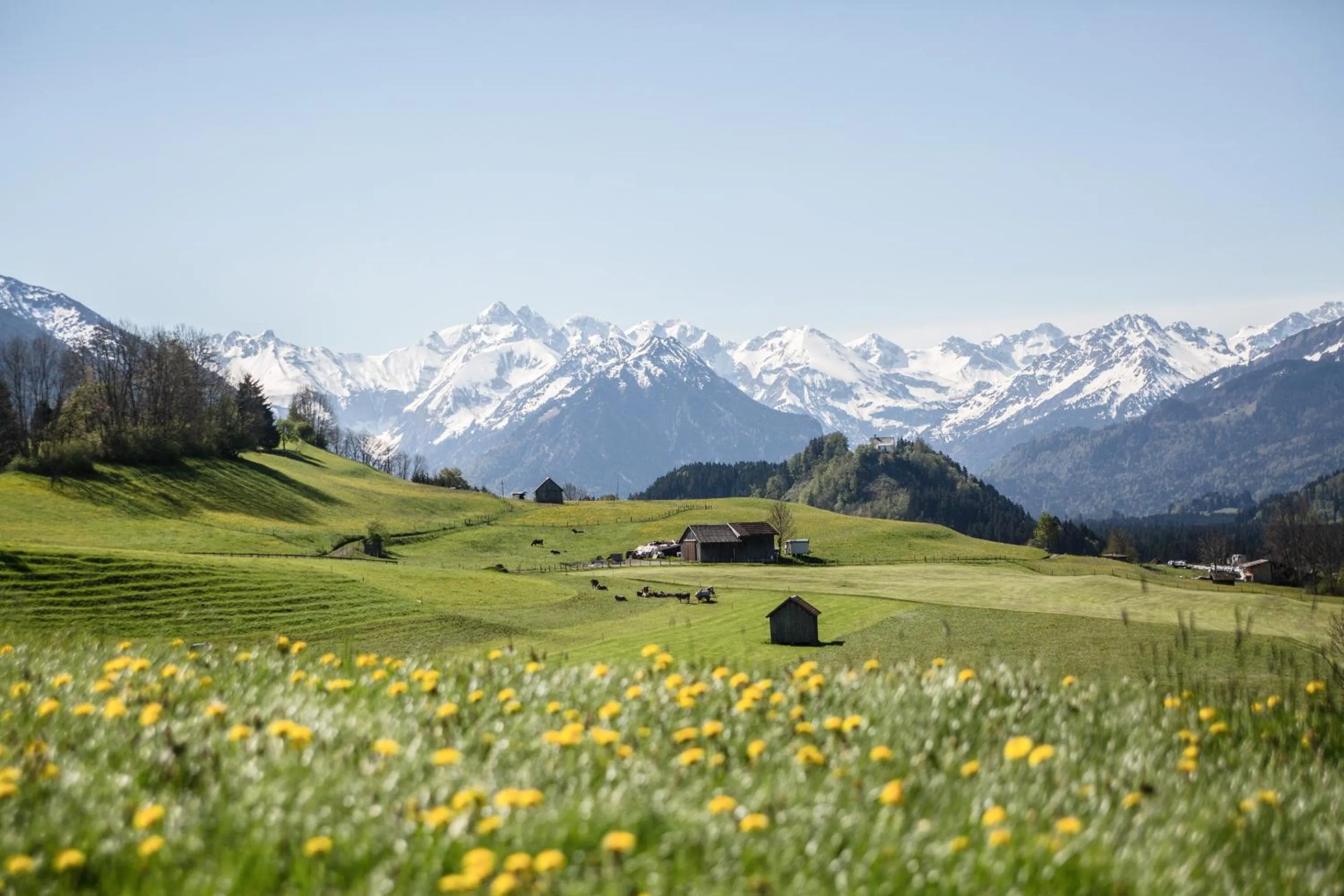 Natural landscape in Landhaus Alger