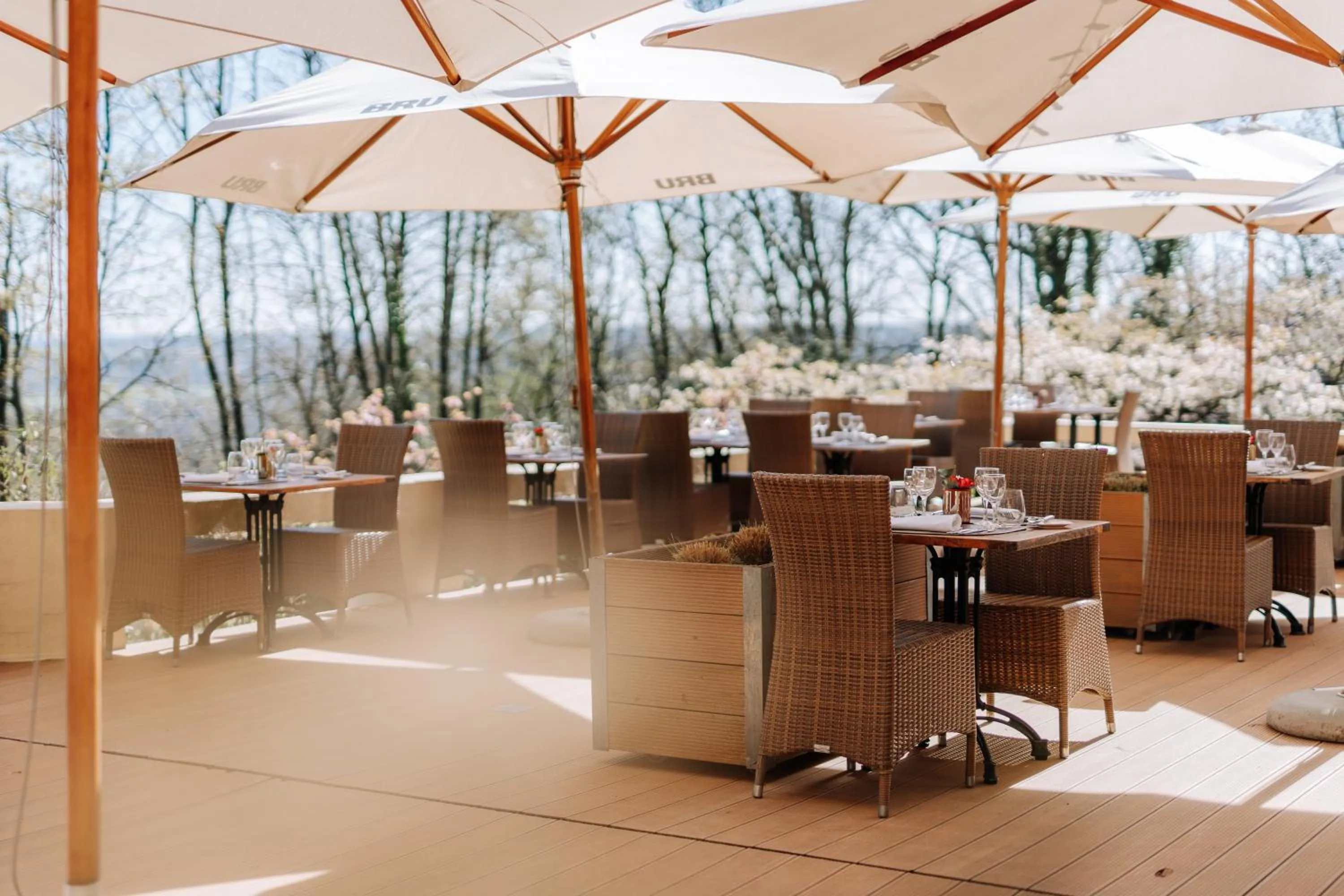 Spring in Le Chateau de Namur