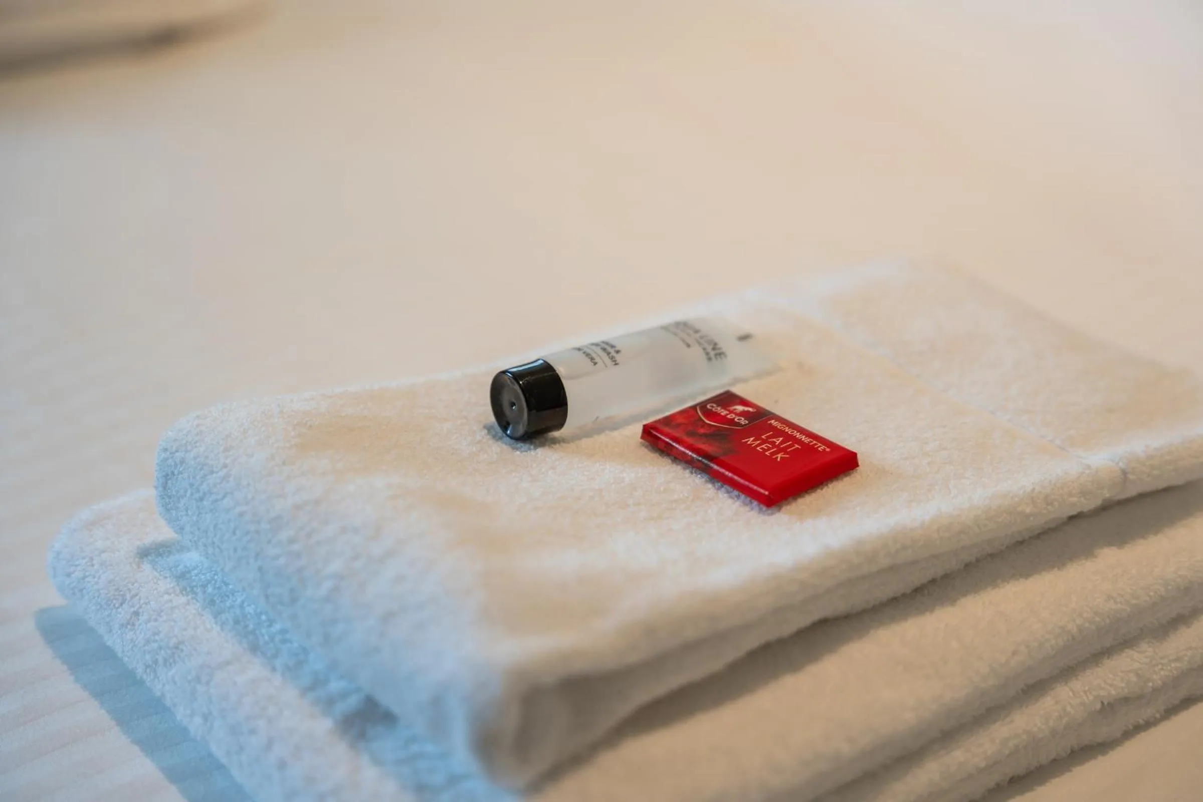 towels in Hotel de Pauw