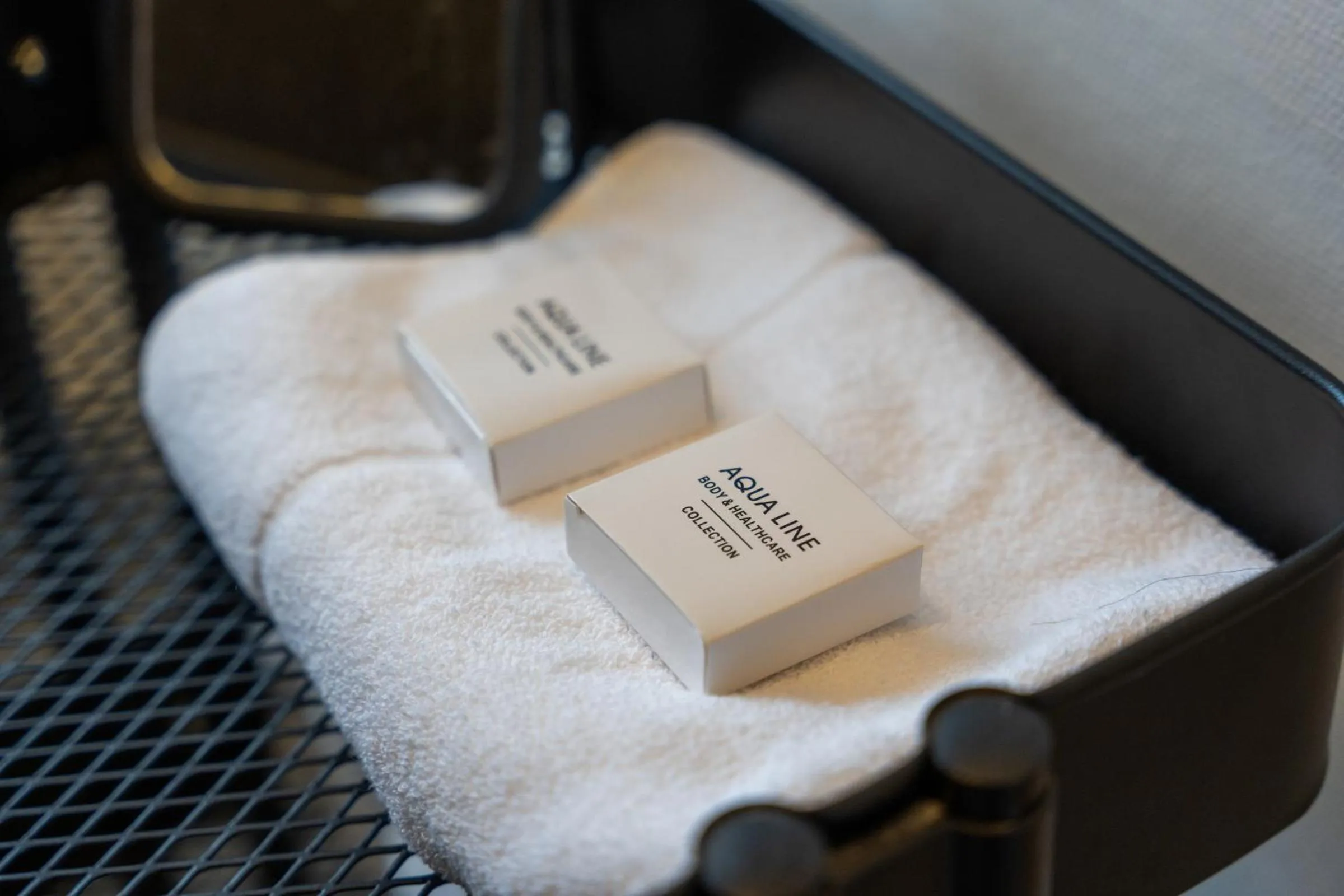 towels in Hotel de Pauw