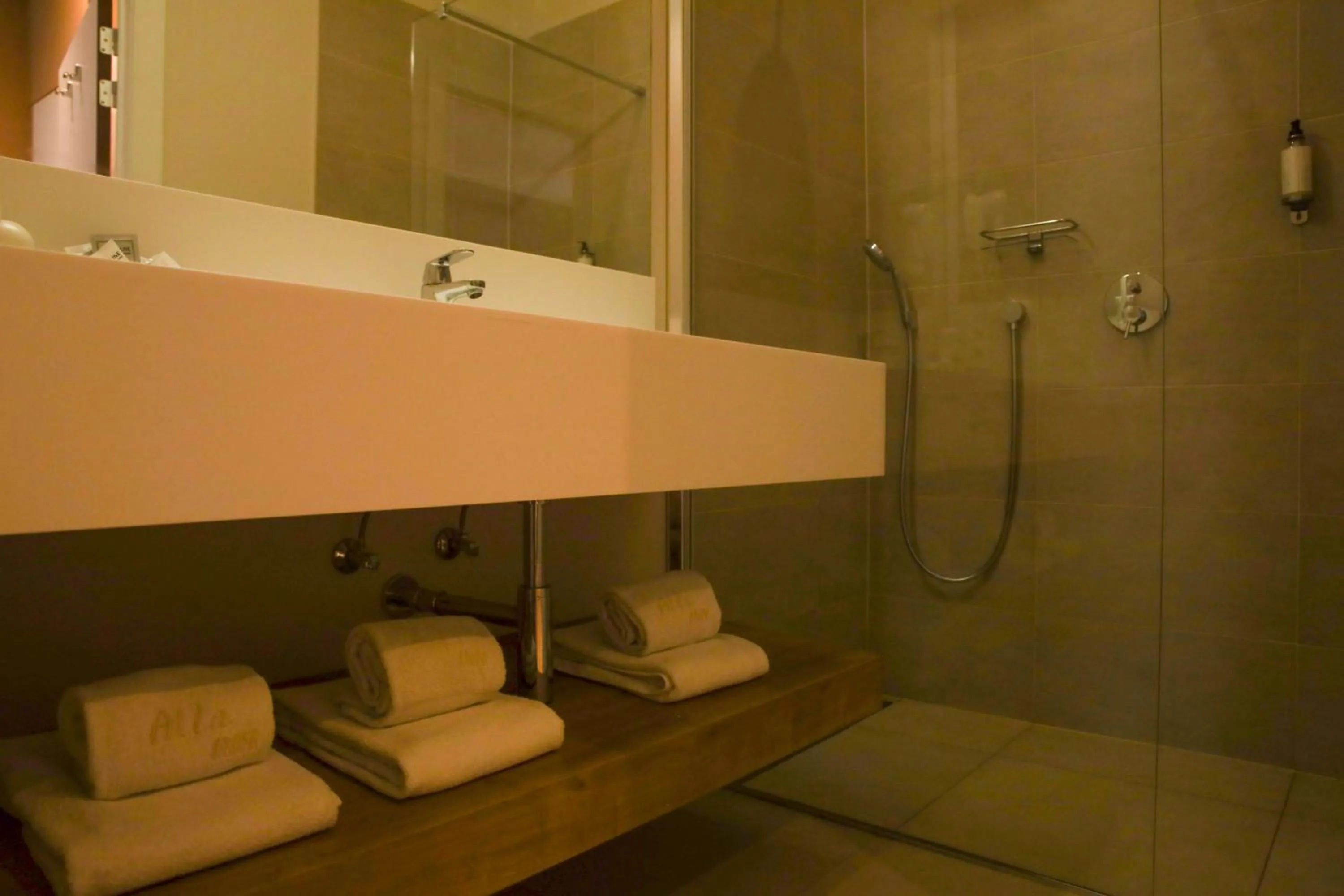 Shower in Alfa Inn