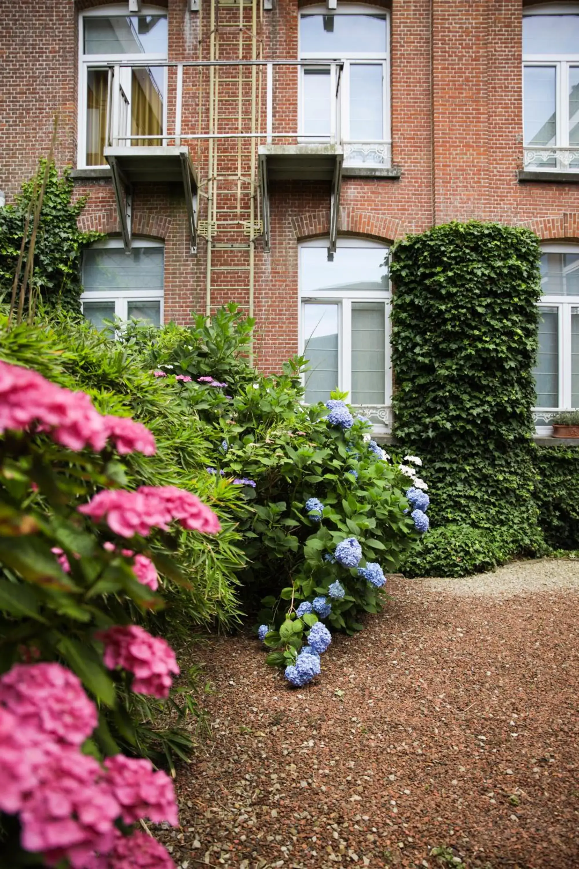 Budget Double Room in Alfa Inn Budget Double Room in Alfa Inn