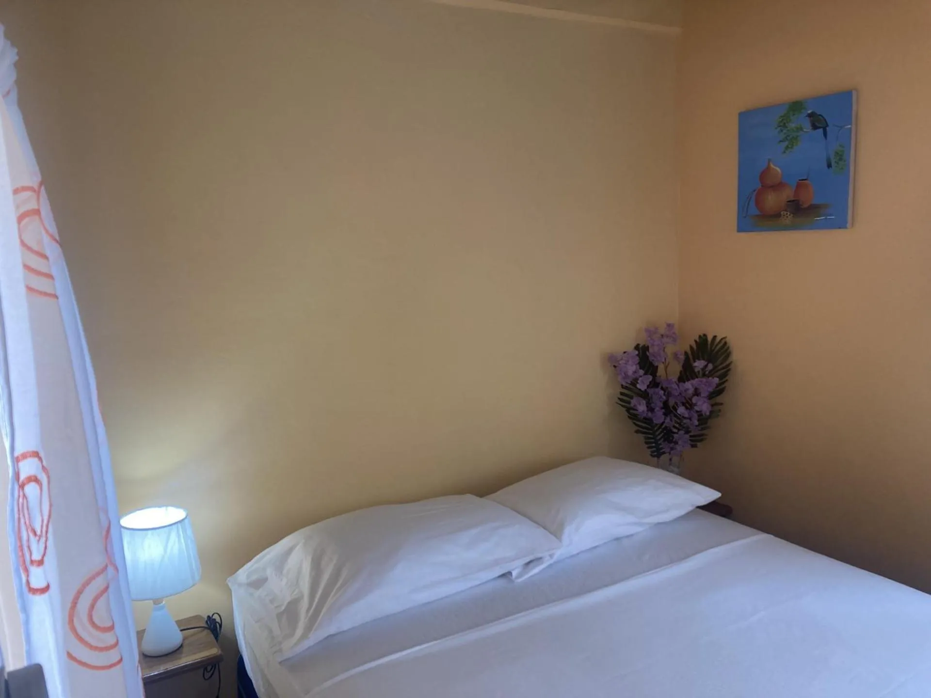 Bed in Hostel Julieta