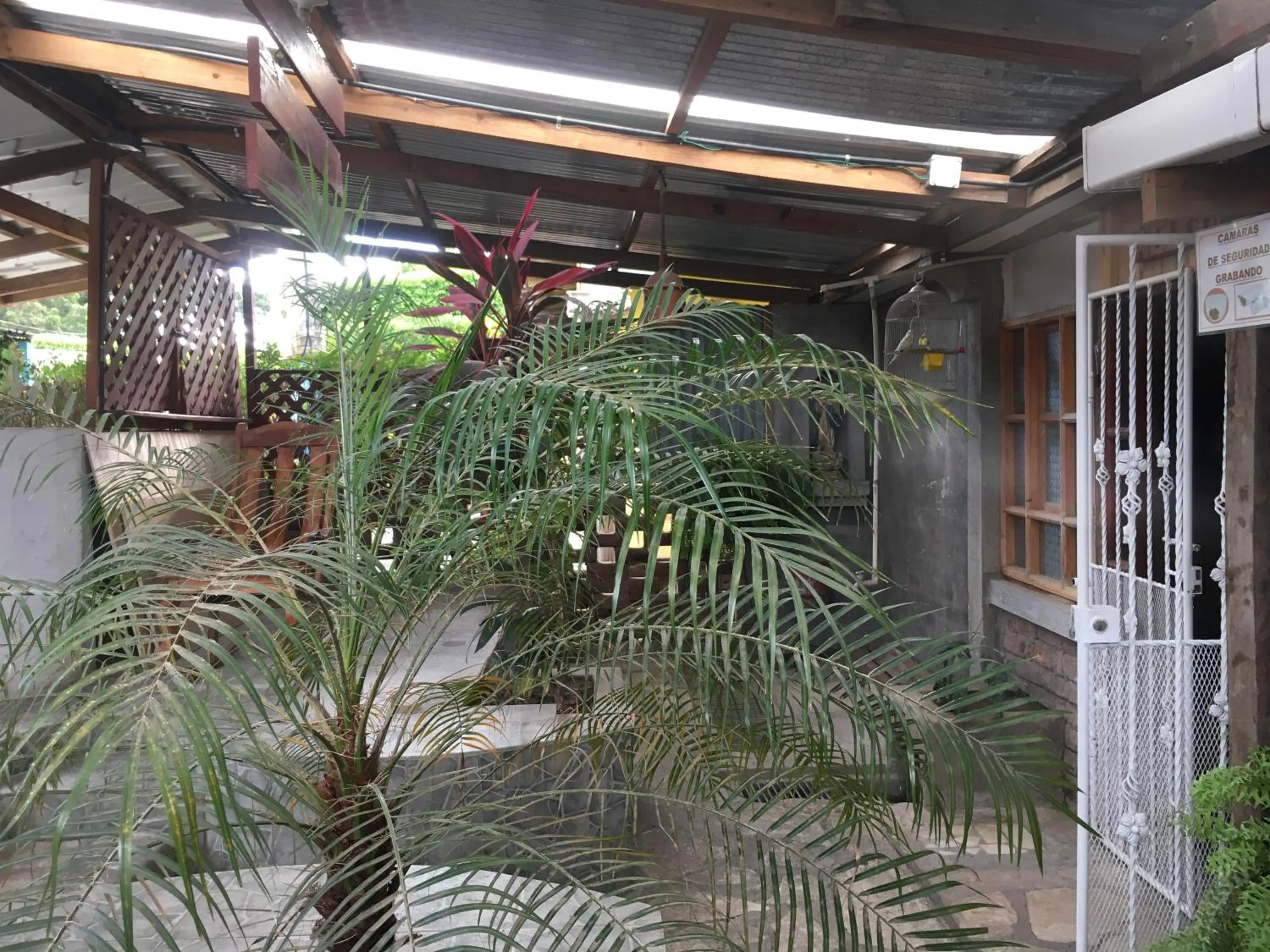 Garden view in Hostel Julieta