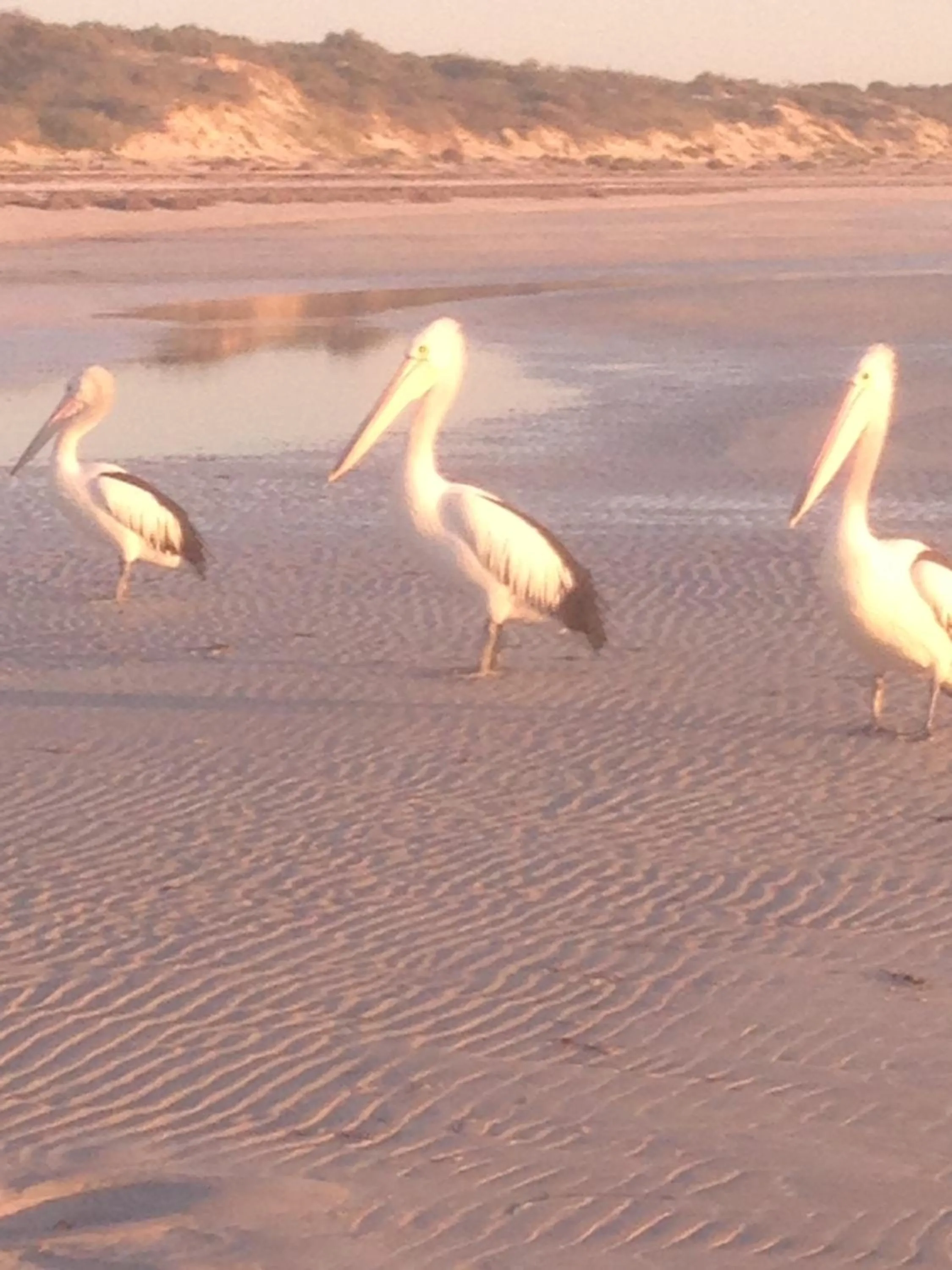 Beach in Perlubie Sea