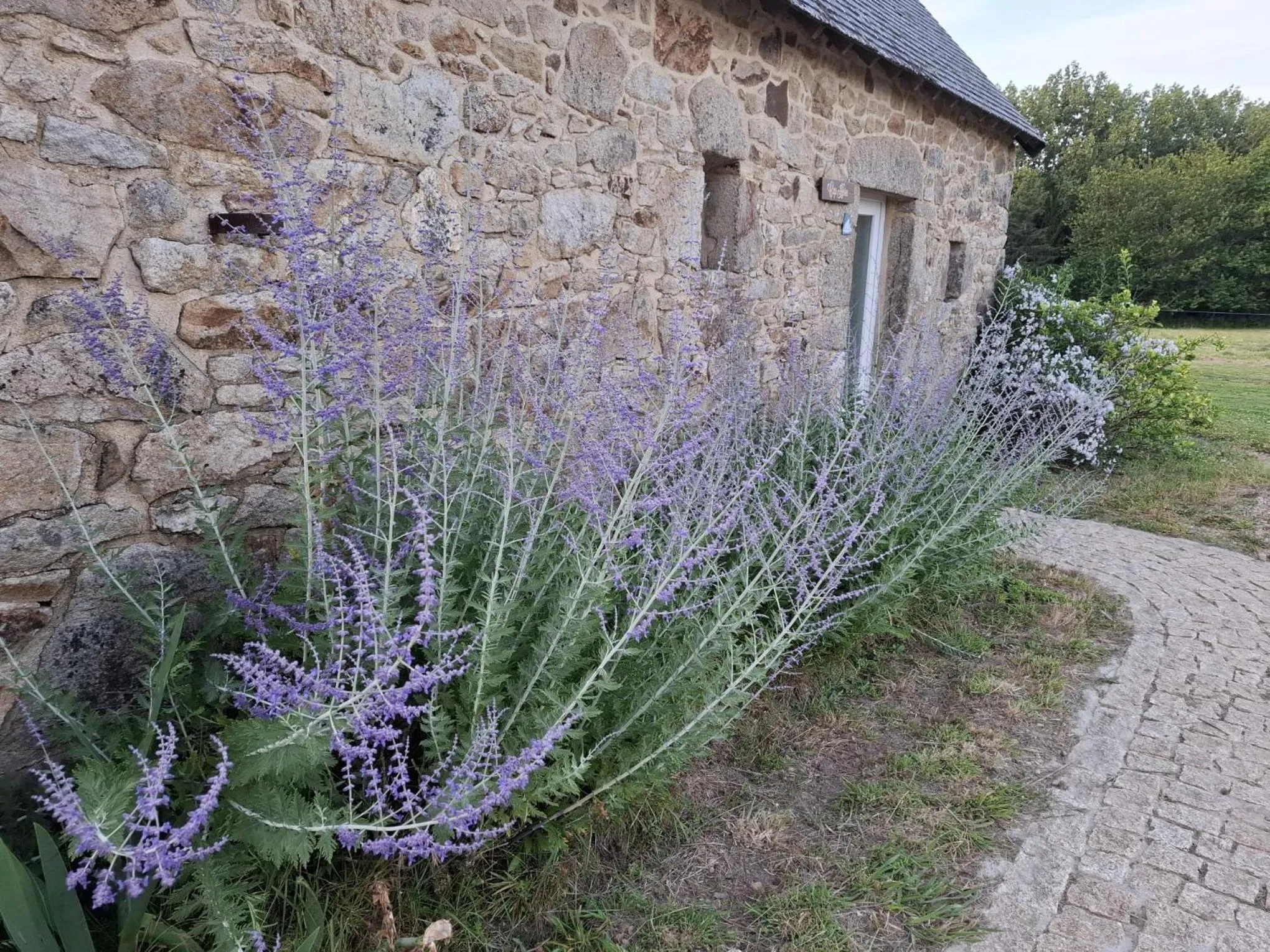 View (from property/room) in Les chambres du Manoir de Kerhel