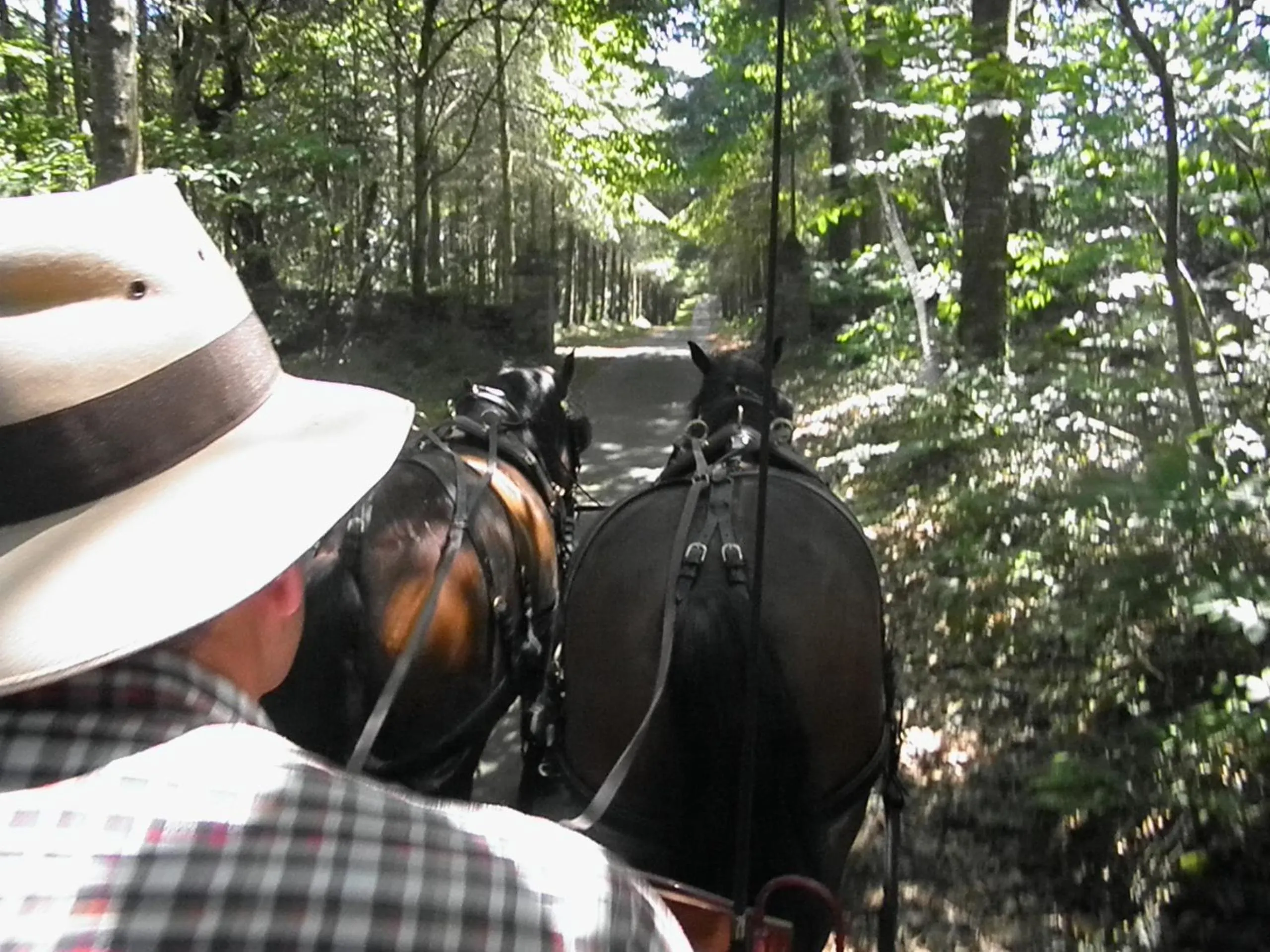 Facade/entrance in Les chambres du Manoir de Kerhel
