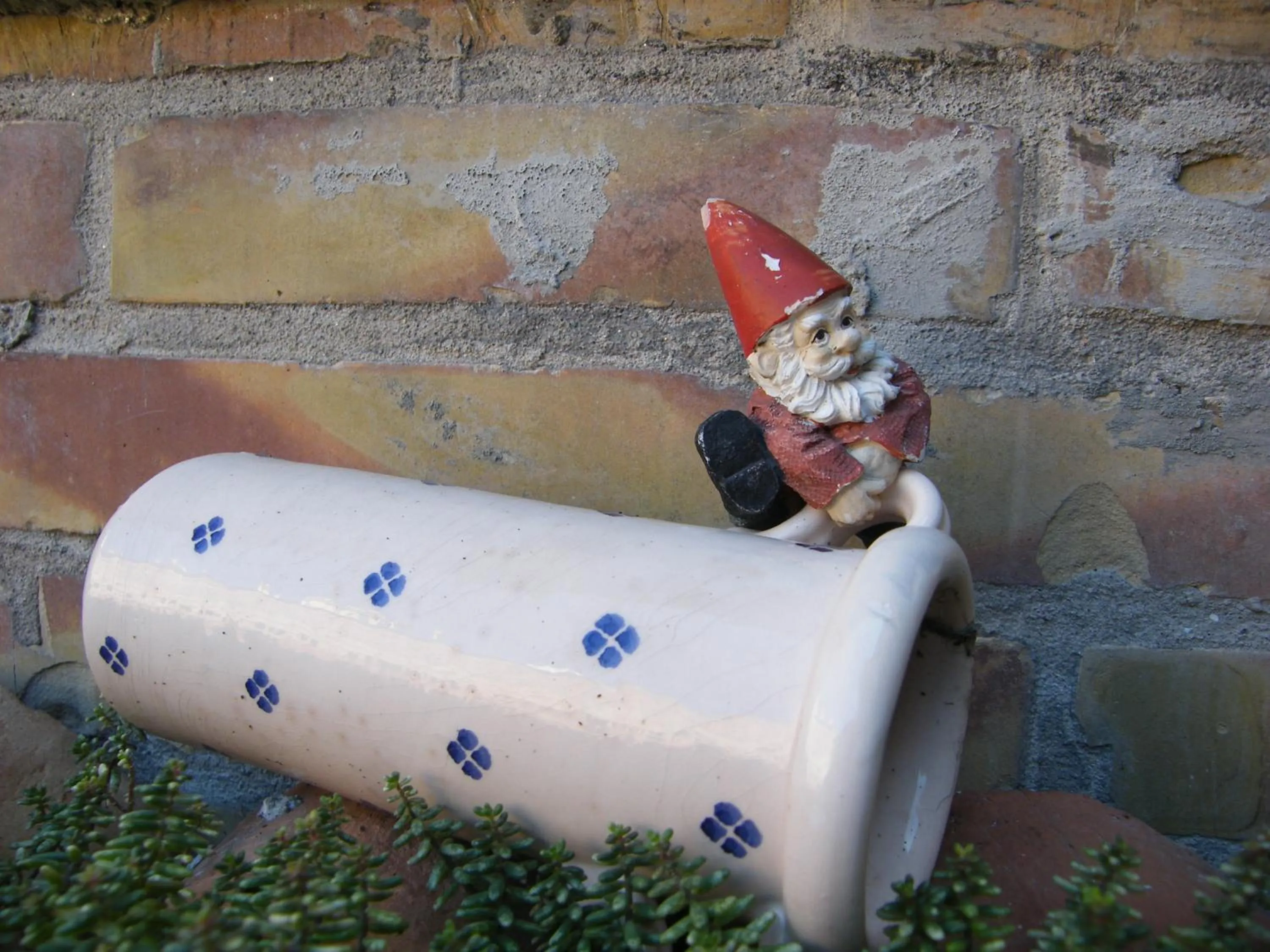 Garden in Il Giardino Roccioso