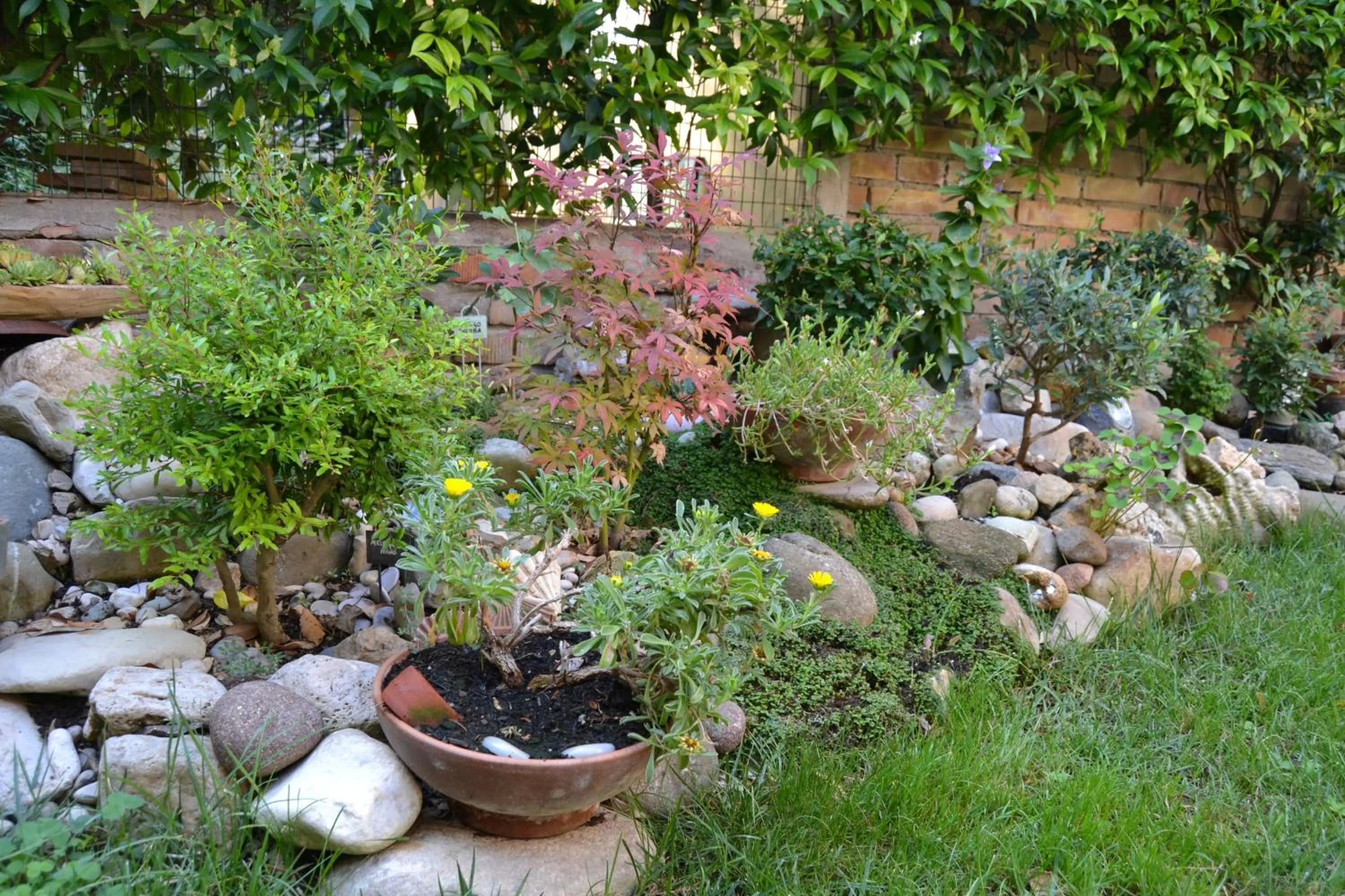 Garden in Il Giardino Roccioso