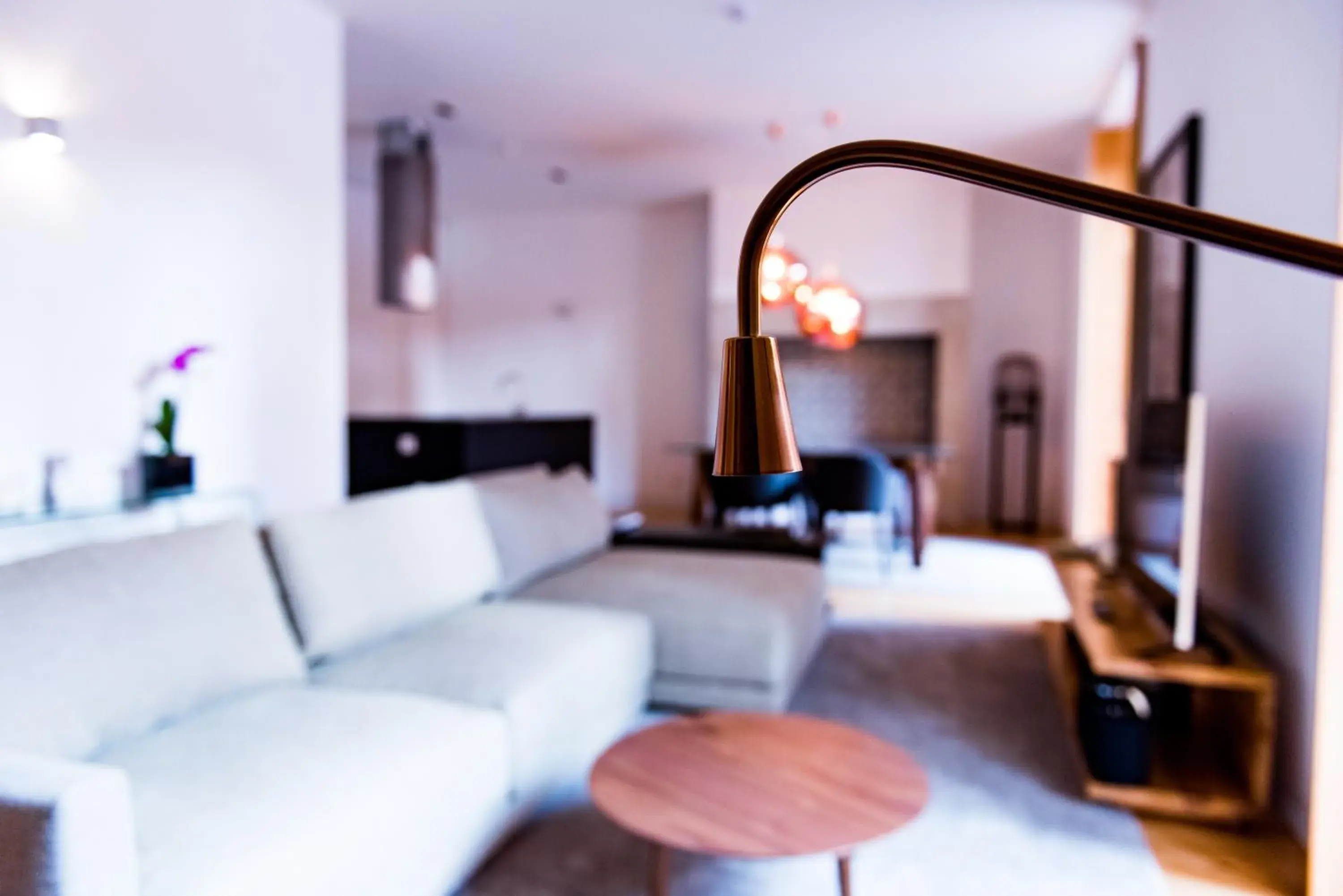 Living room in Flora Chiado Apartments Living room in Flora Chiado Apartments