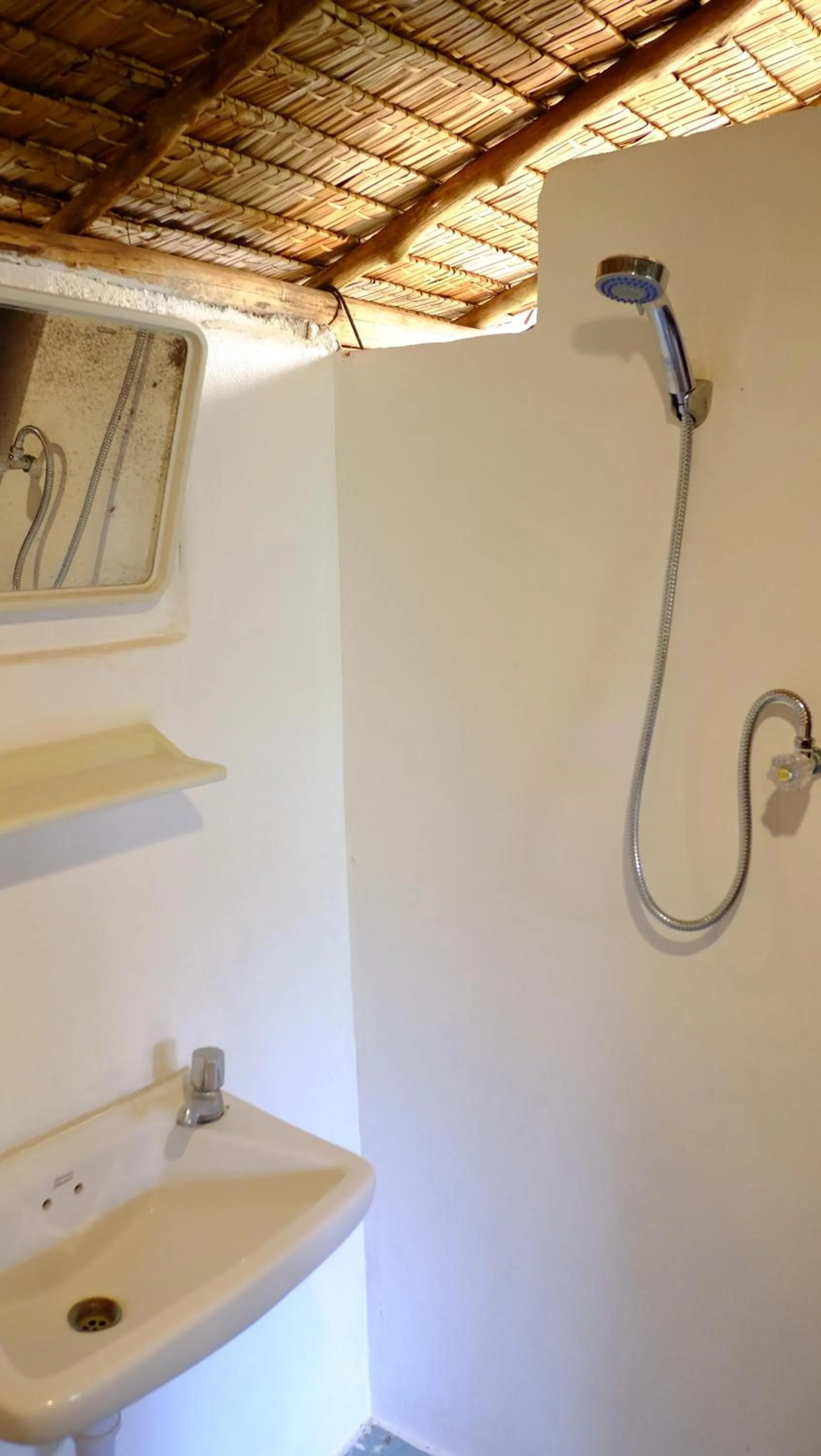 Shower in Andaman Sunflower