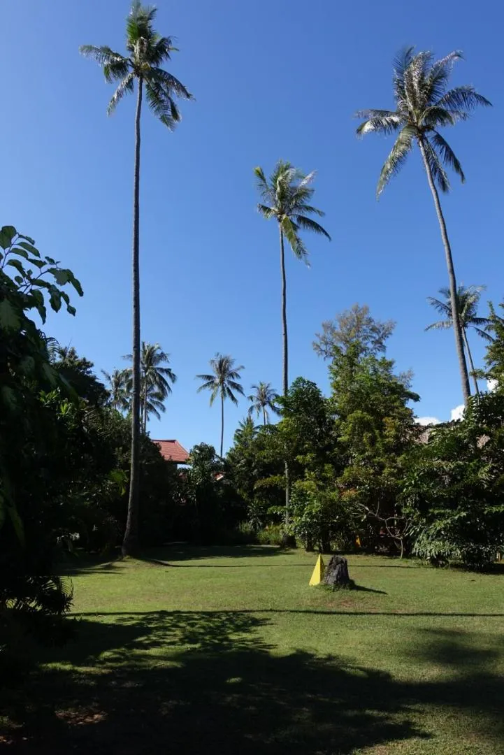 Garden in Andaman Sunflower