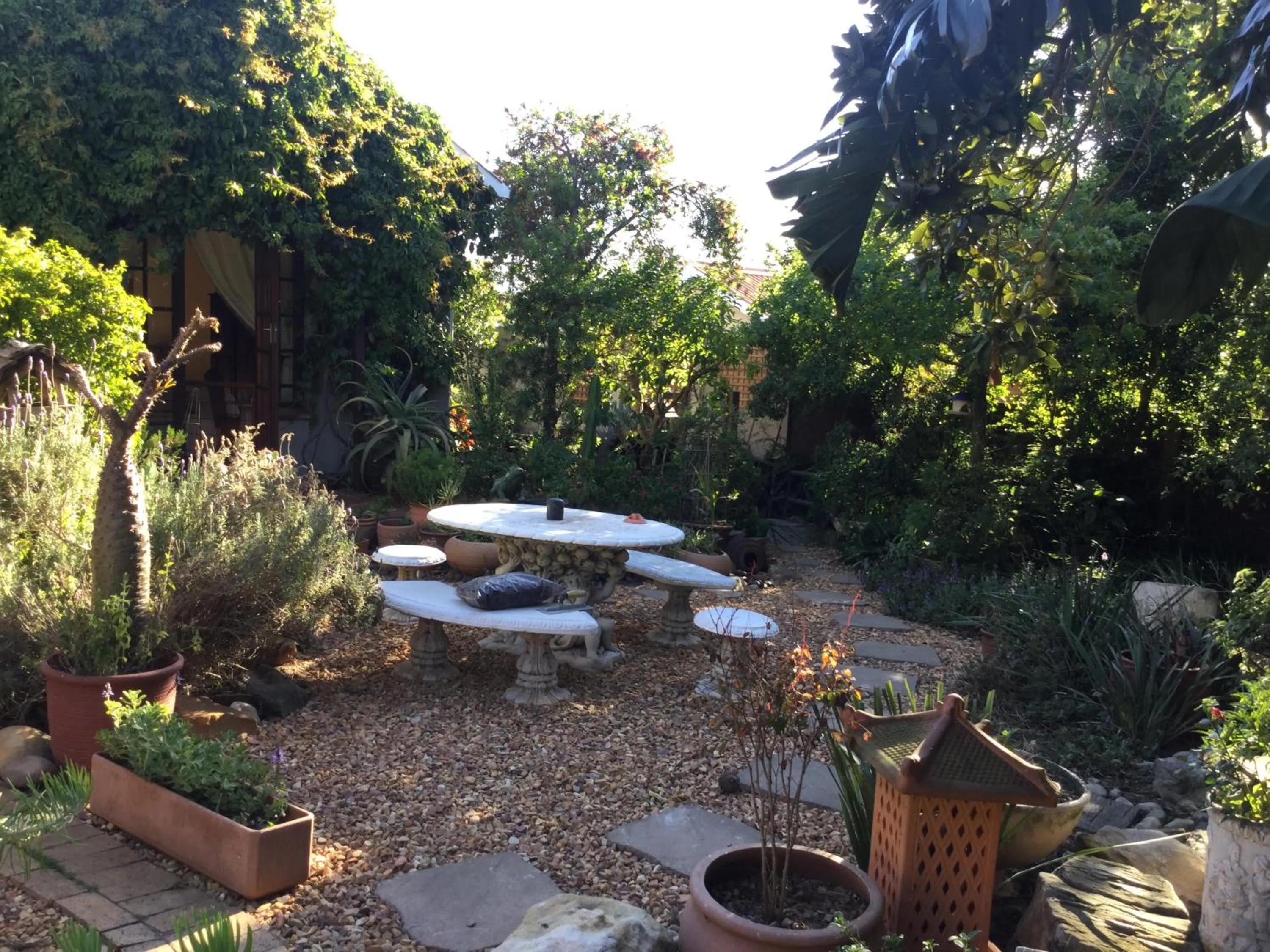 Garden in The Buddha Garden