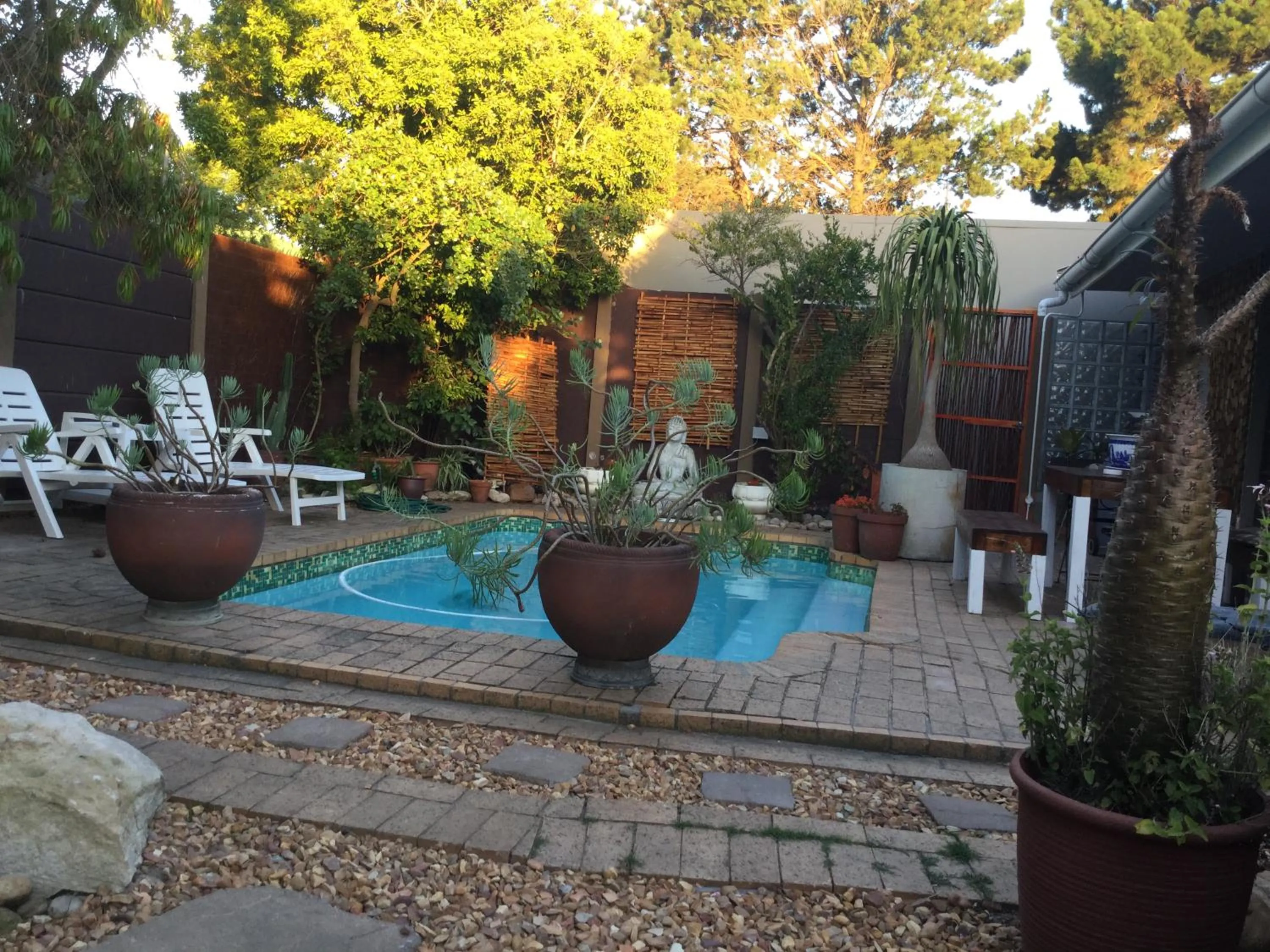 Swimming pool in The Buddha Garden