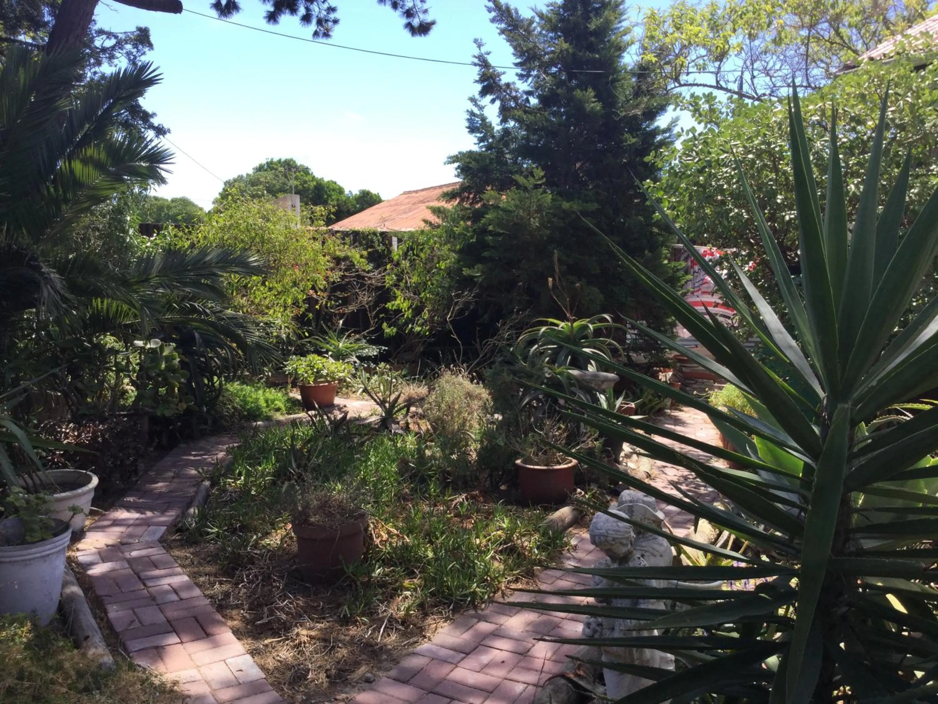 The Buddha Garden