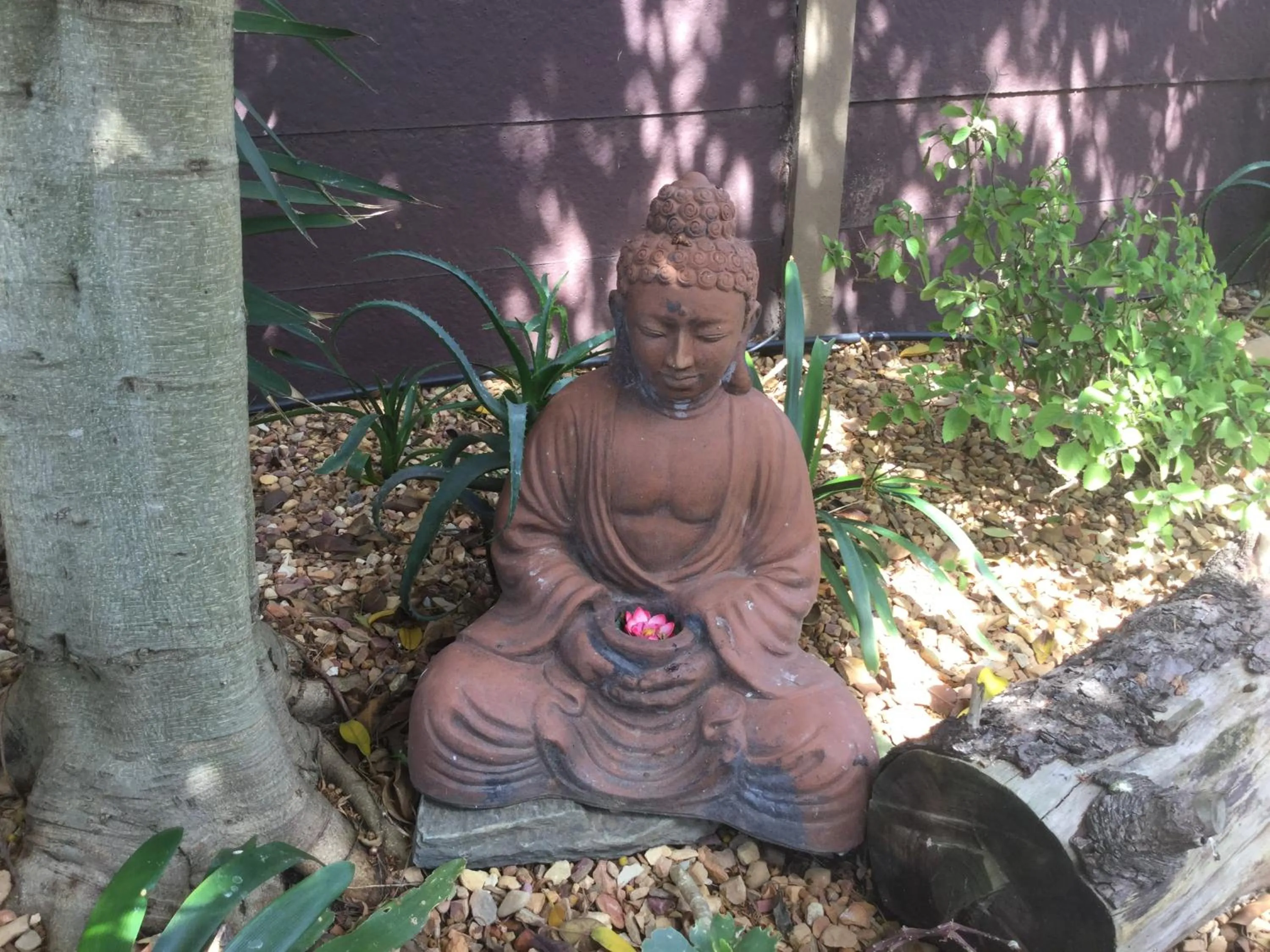 The Buddha Garden