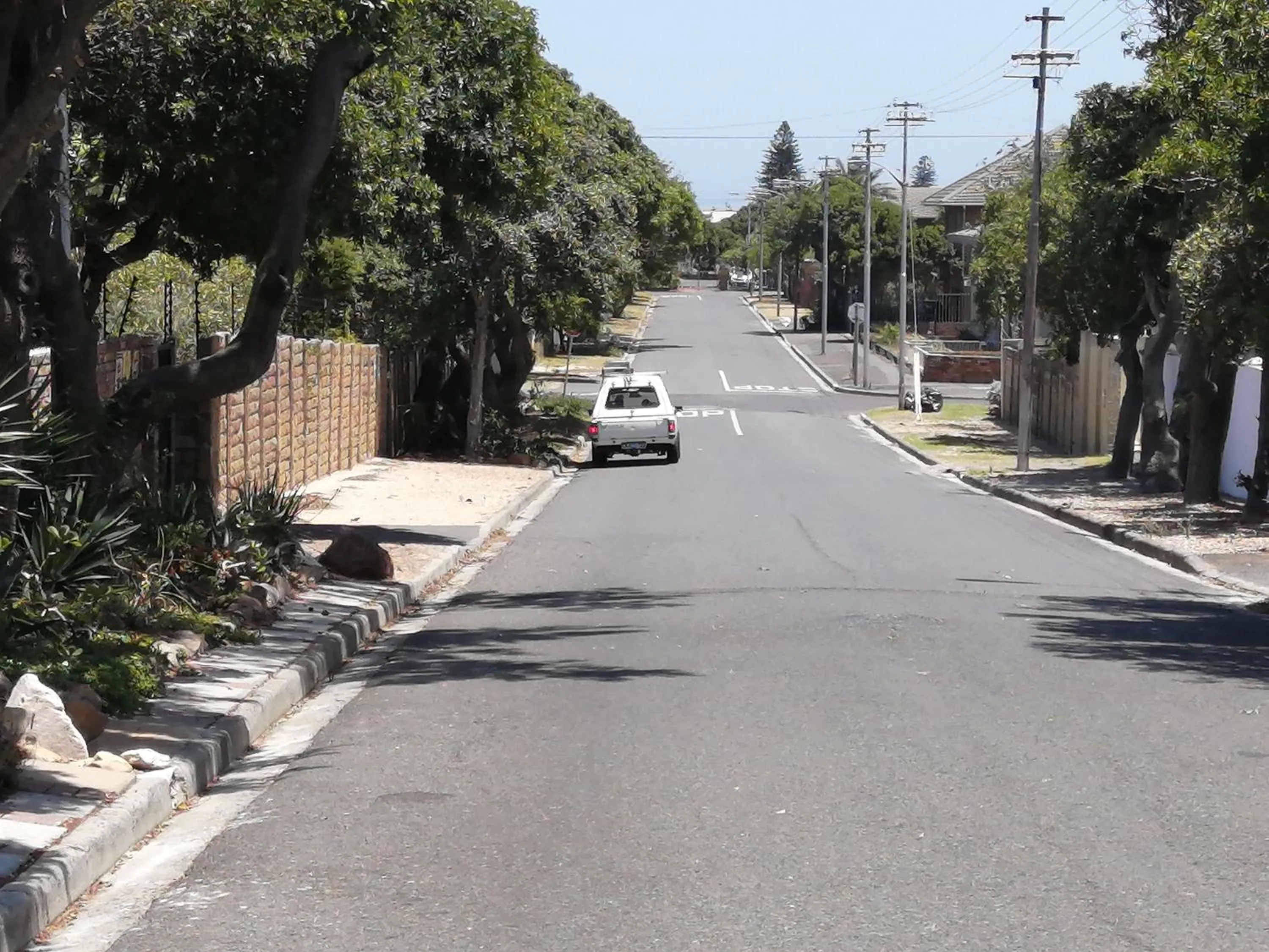 Street view in The Buddha Garden