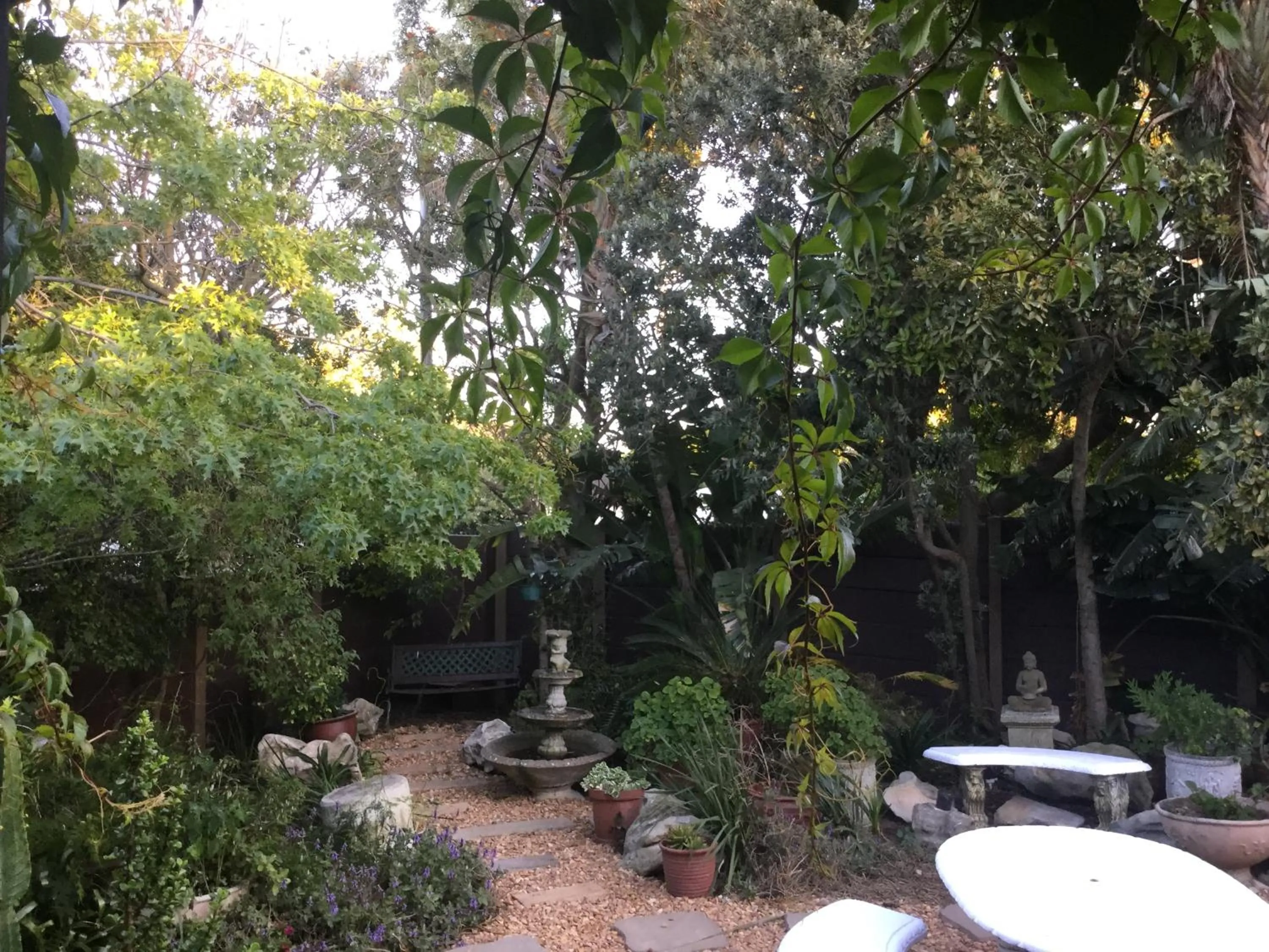 Garden in The Buddha Garden