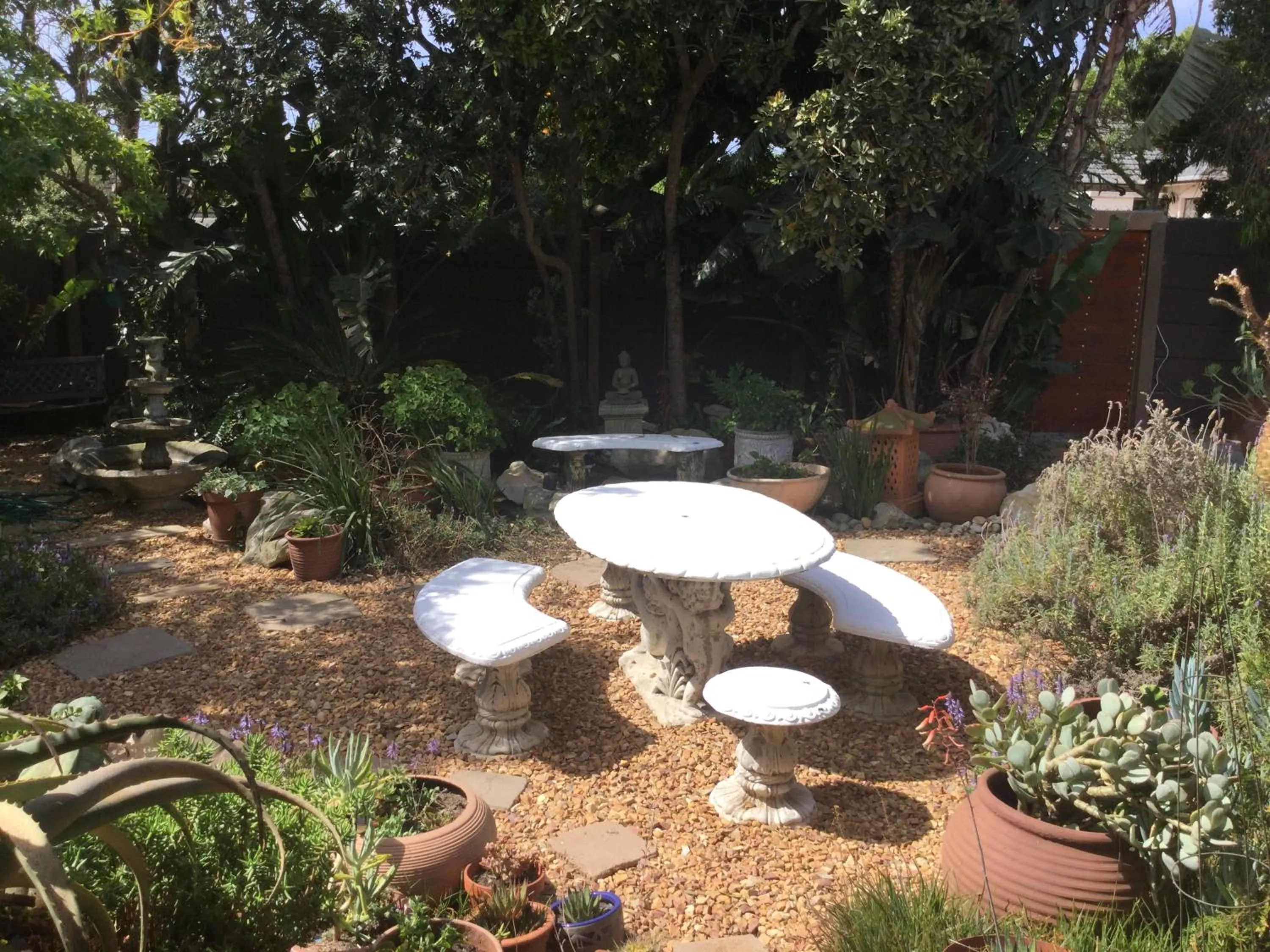 The Buddha Garden