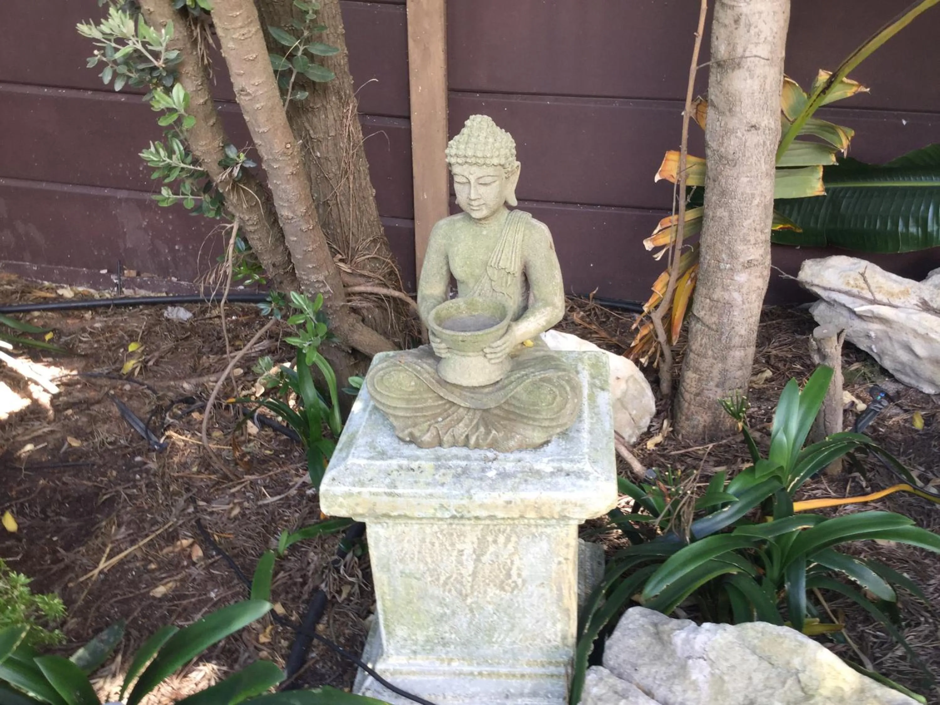 The Buddha Garden