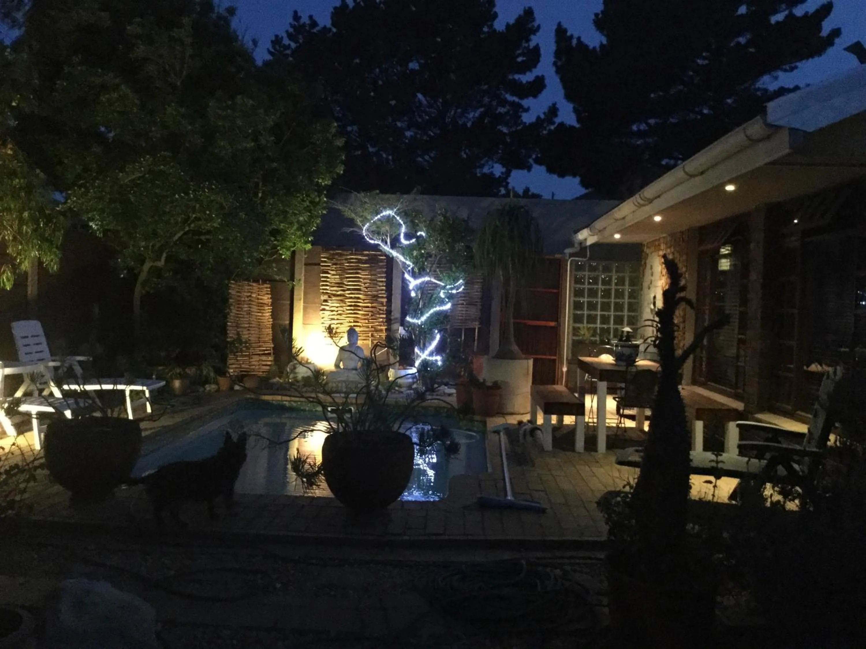 The Buddha Garden