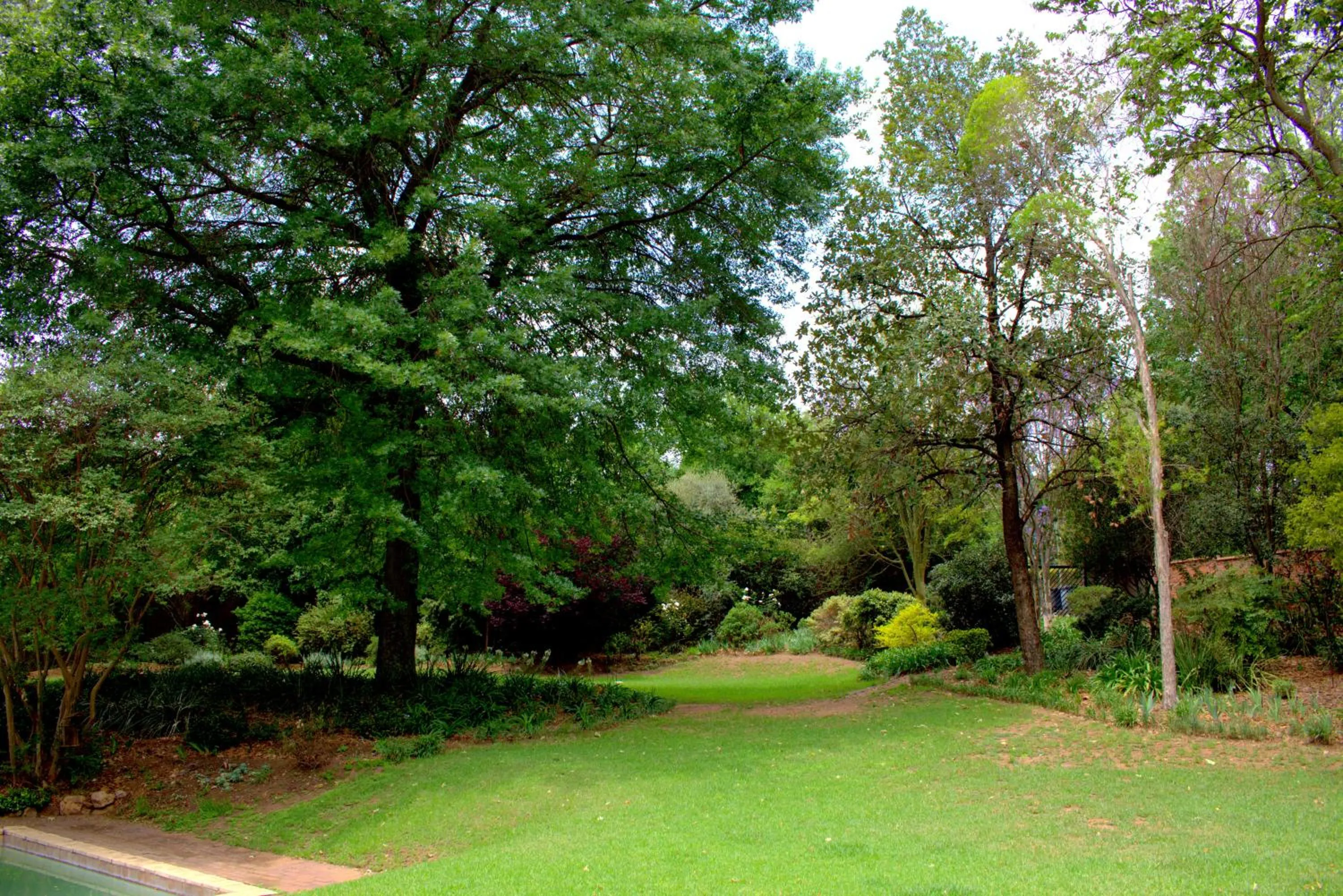 Garden in Wild Olive Executive Suite