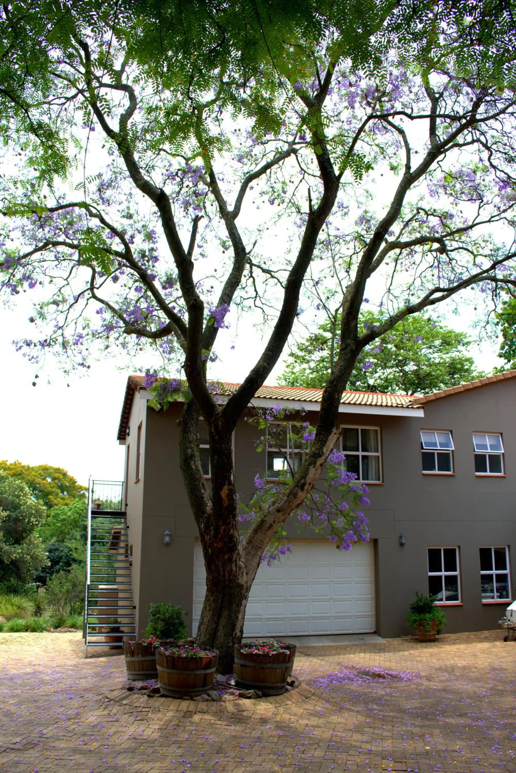 Property building in Wild Olive Executive Suite