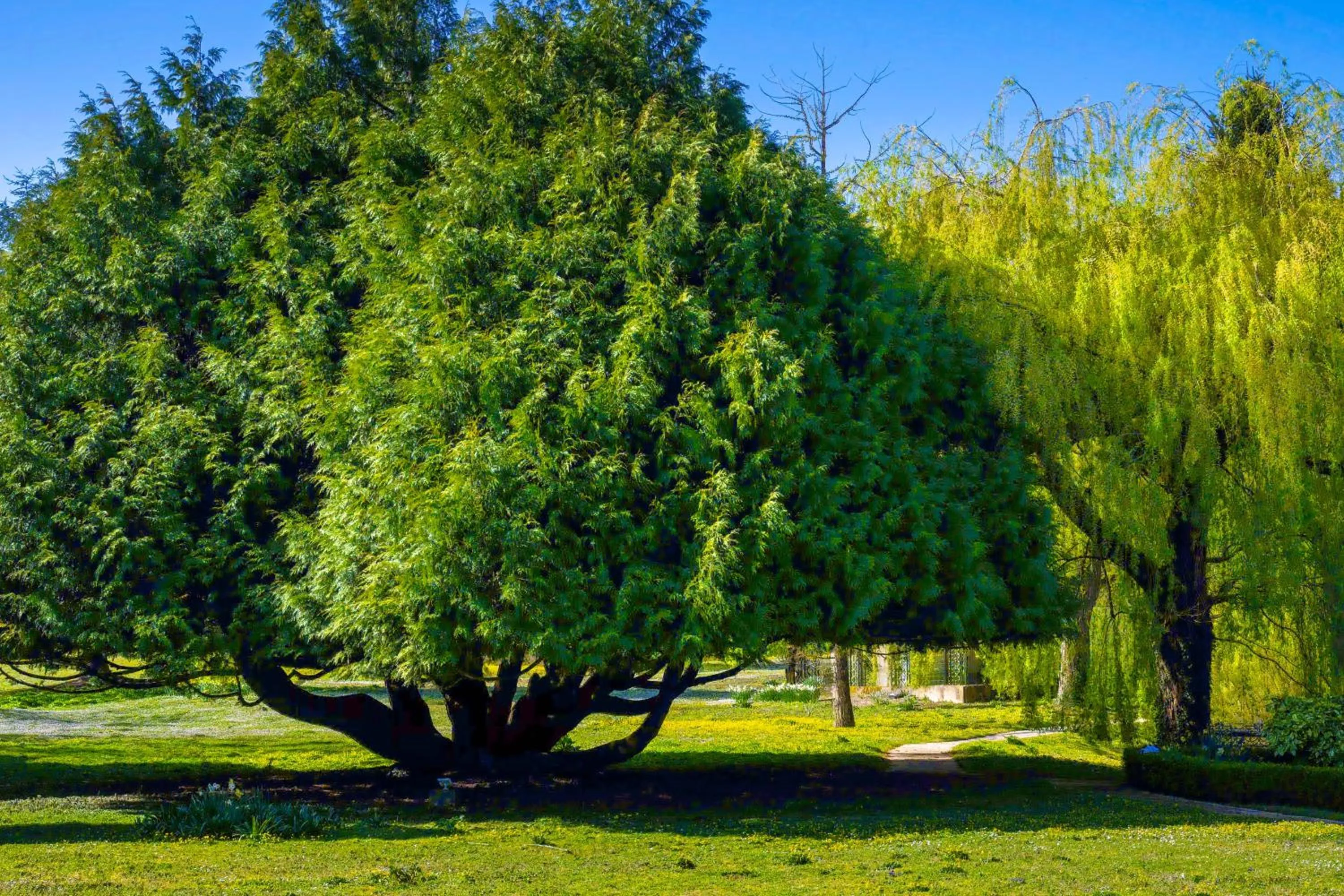 Relais du Bois Saint Georges - Hôtel de Charme