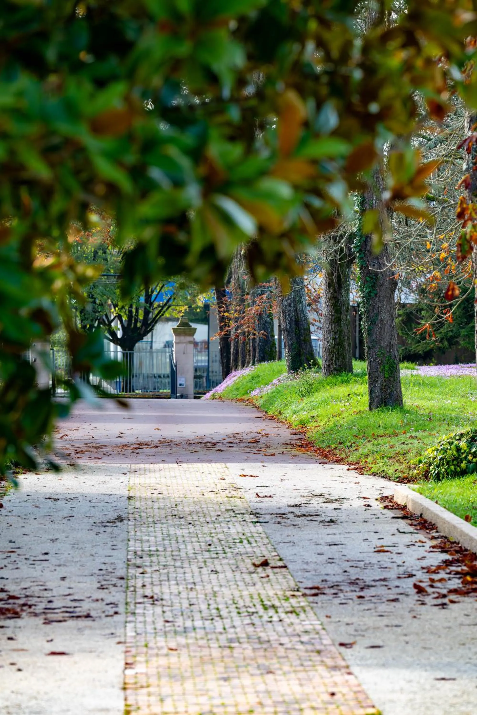 Natural landscape in Relais du Bois Saint Georges - Hôtel de Charme