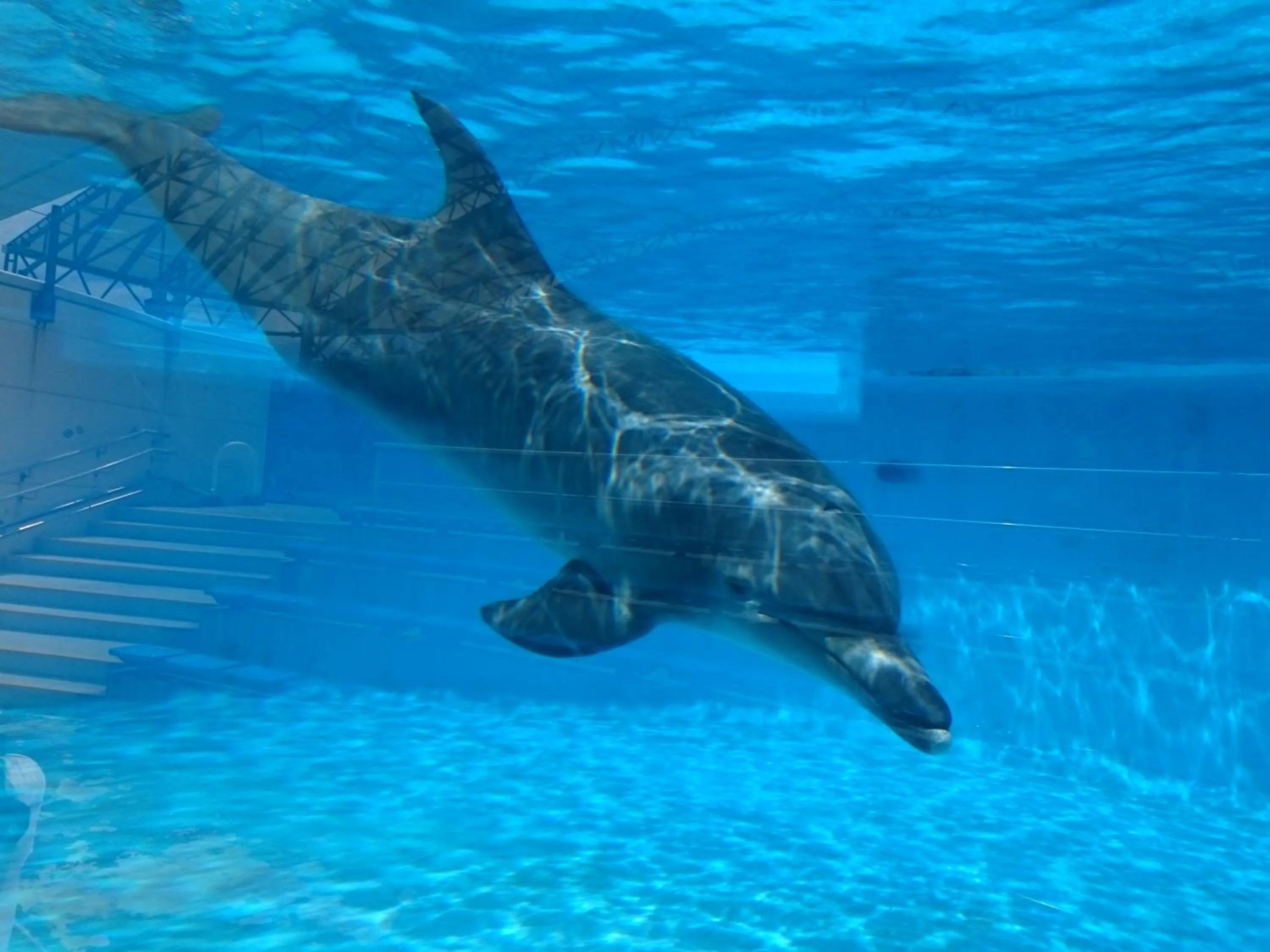 Nearby landmark in Kaeruya