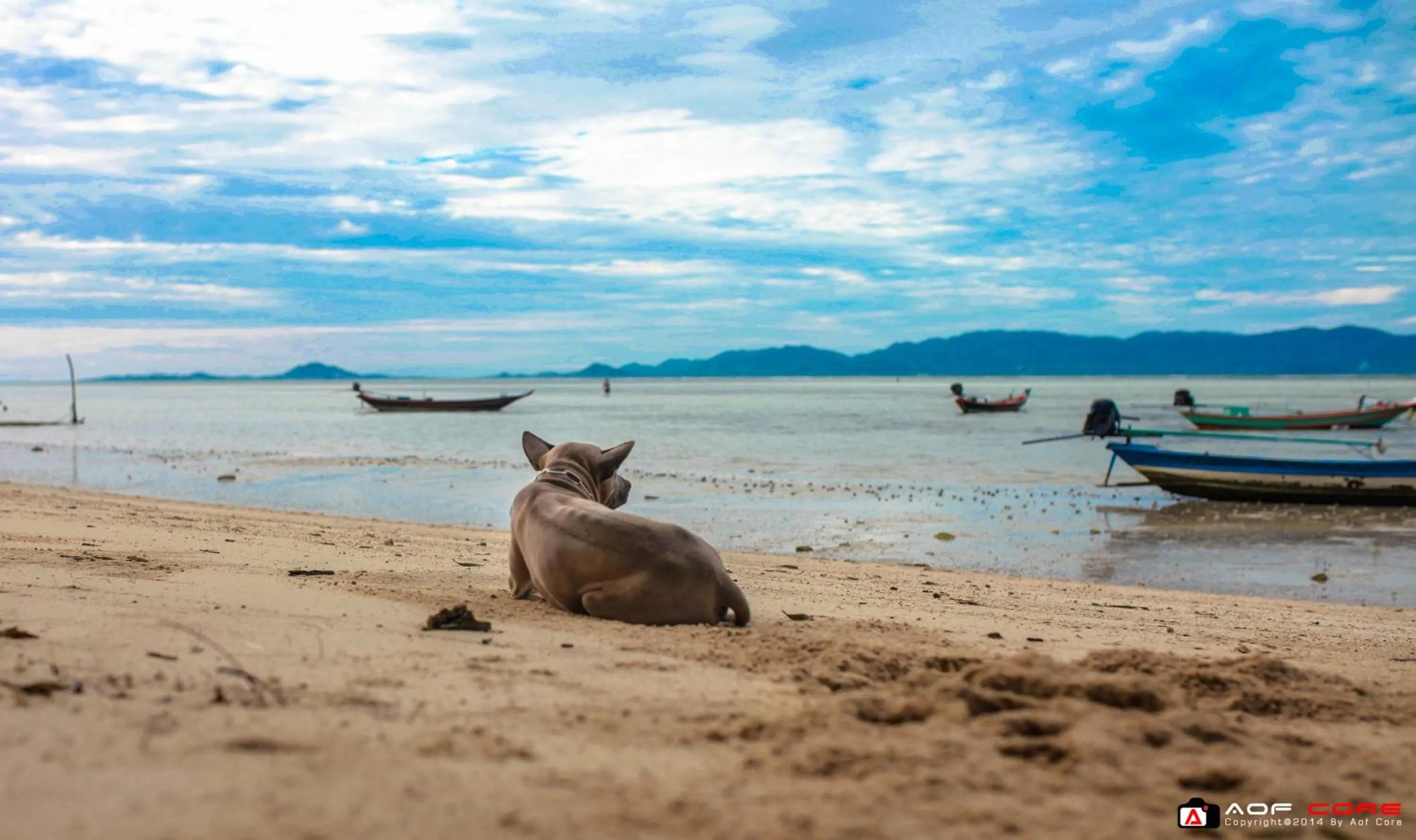 Property building in The Pier