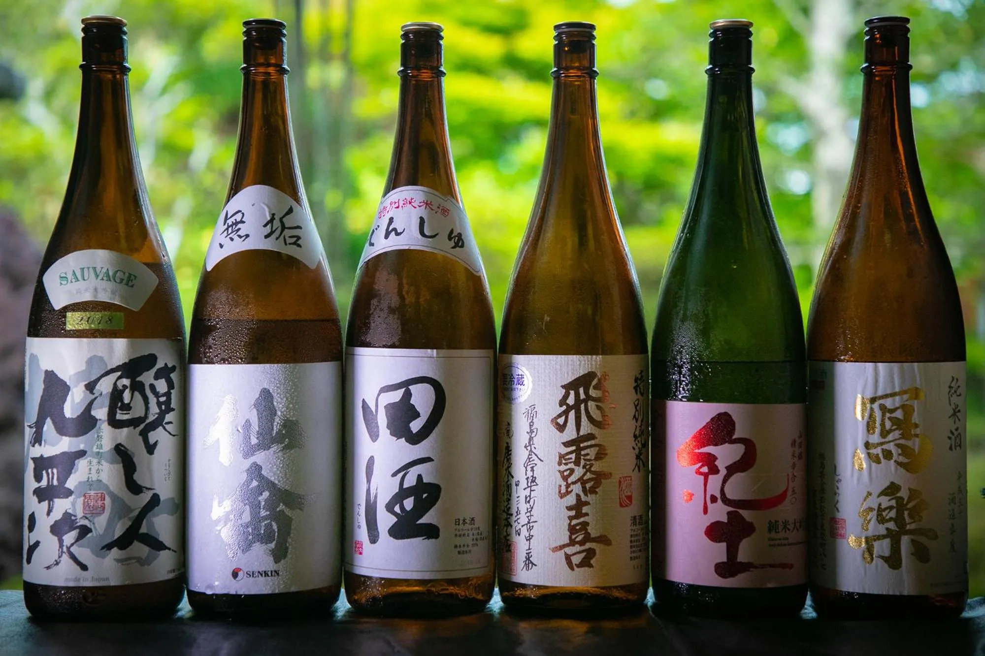 Dinner in Ryotei Jyusouya