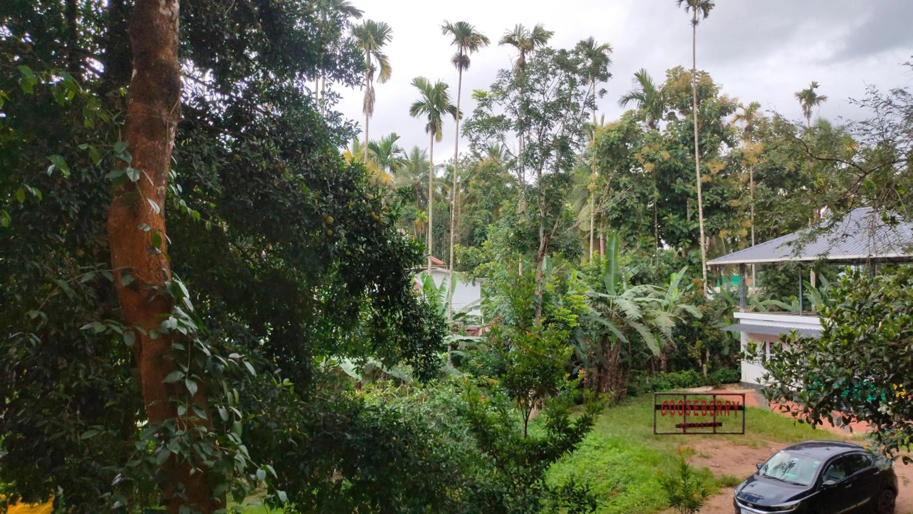 View (from property/room) in Gooseberry Family Retreats - Wayanad by KARAPUZHA RESORTS