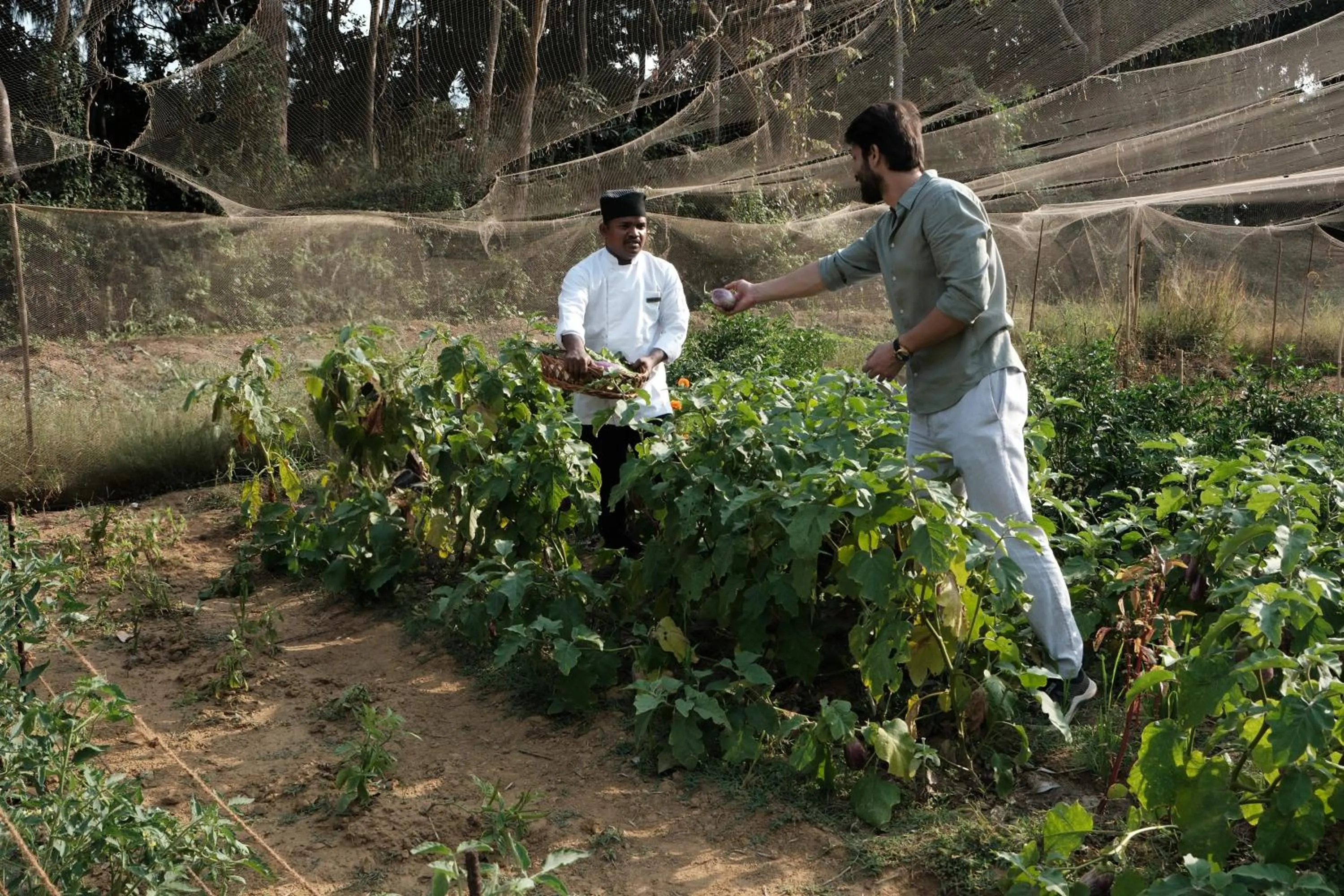 SwaSwara Wellness - A CGH Earth Experience, Gokarna