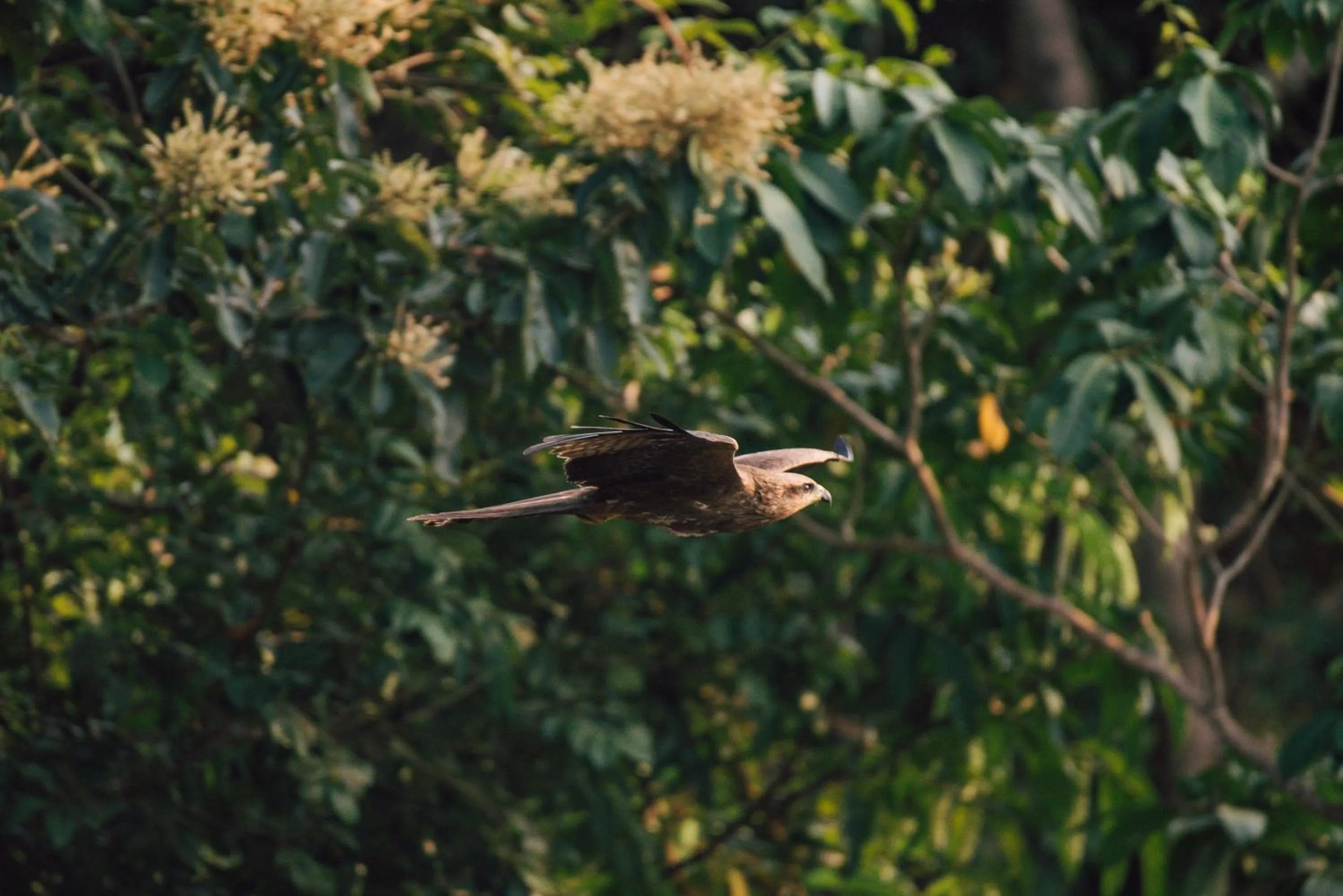 SwaSwara Wellness - A CGH Earth Experience, Gokarna