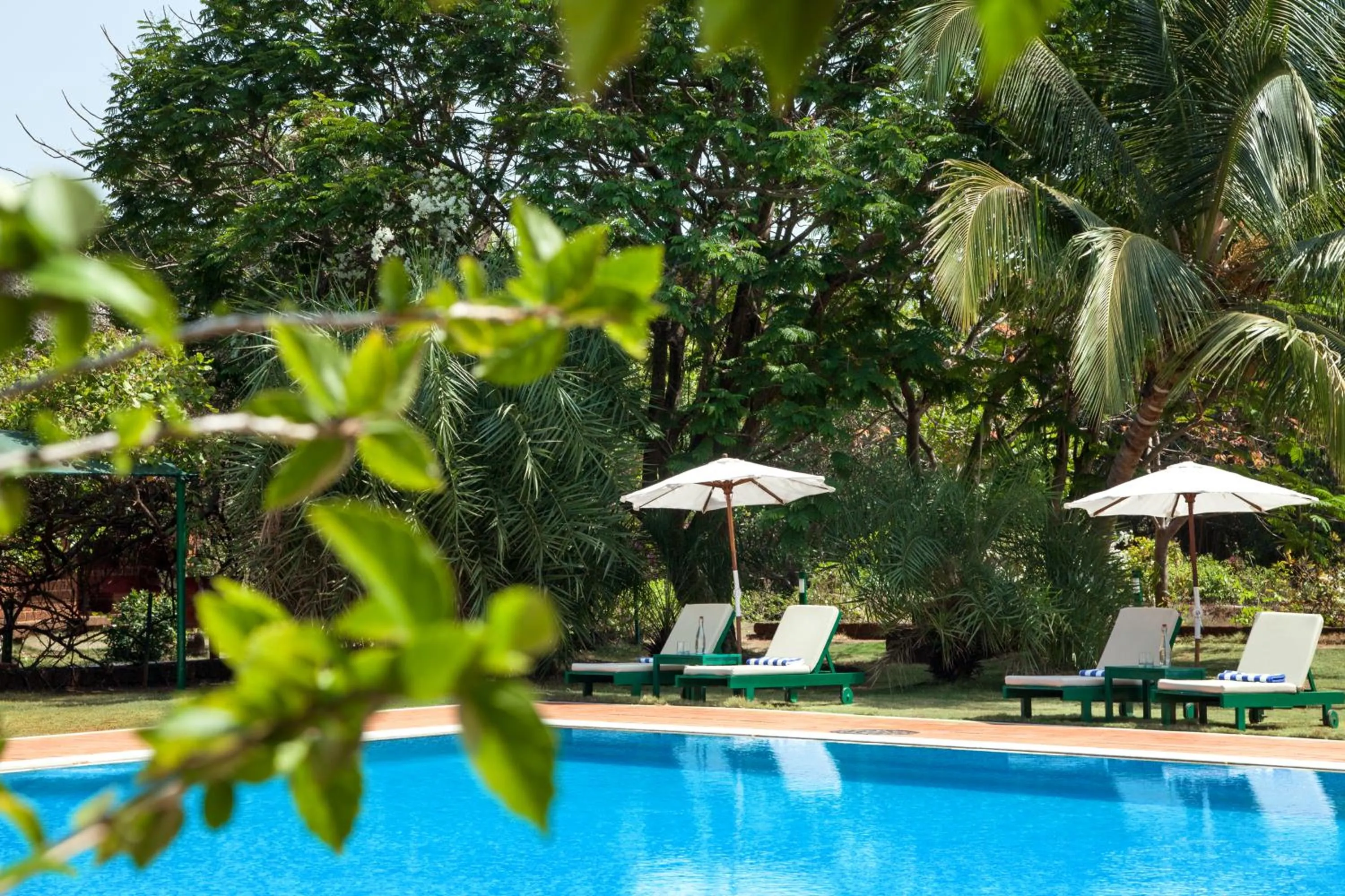 Swimming pool in SwaSwara Wellness - A CGH Earth Experience, Gokarna