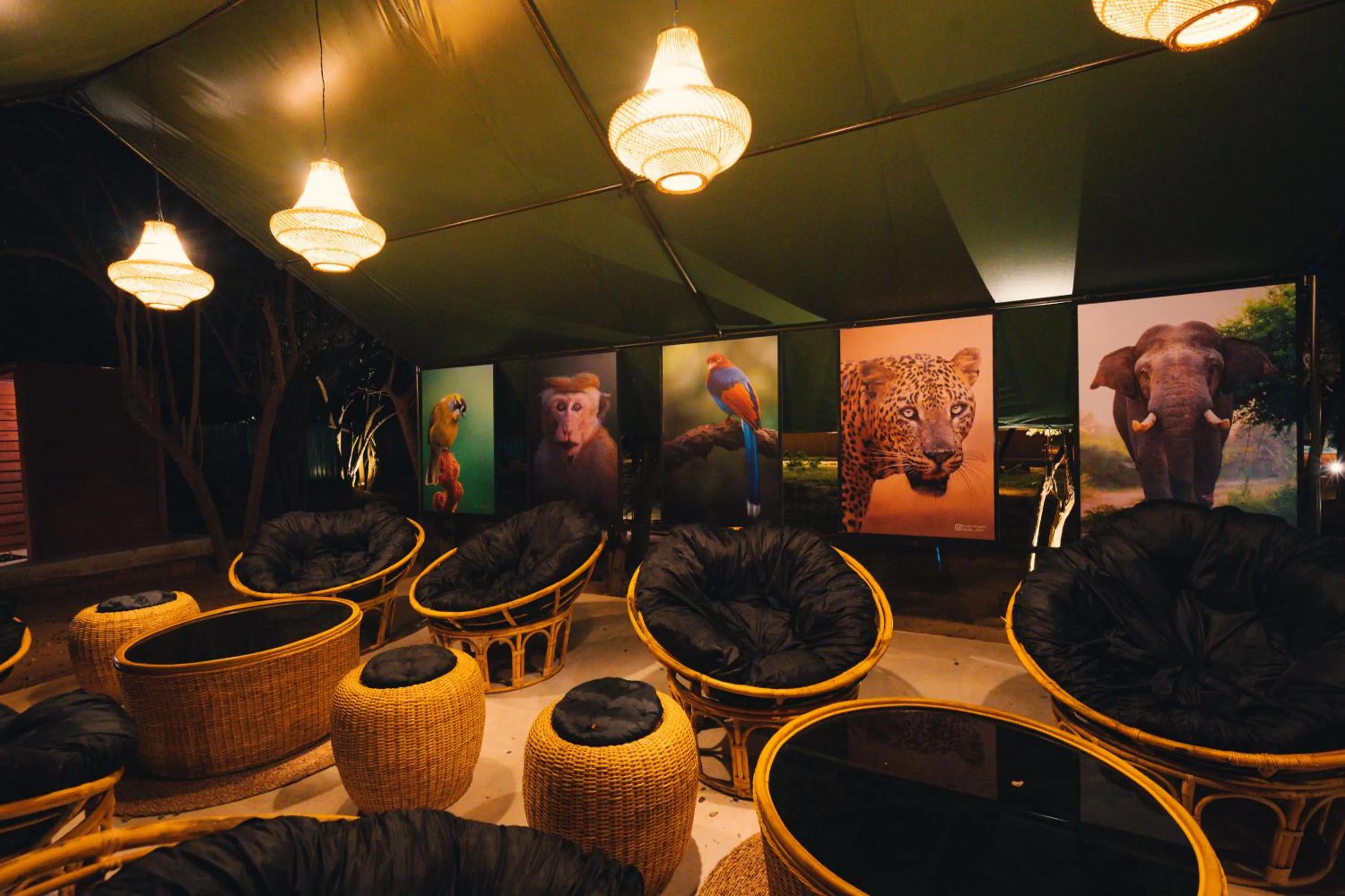 Area and facilities in Yakaduru - Yala