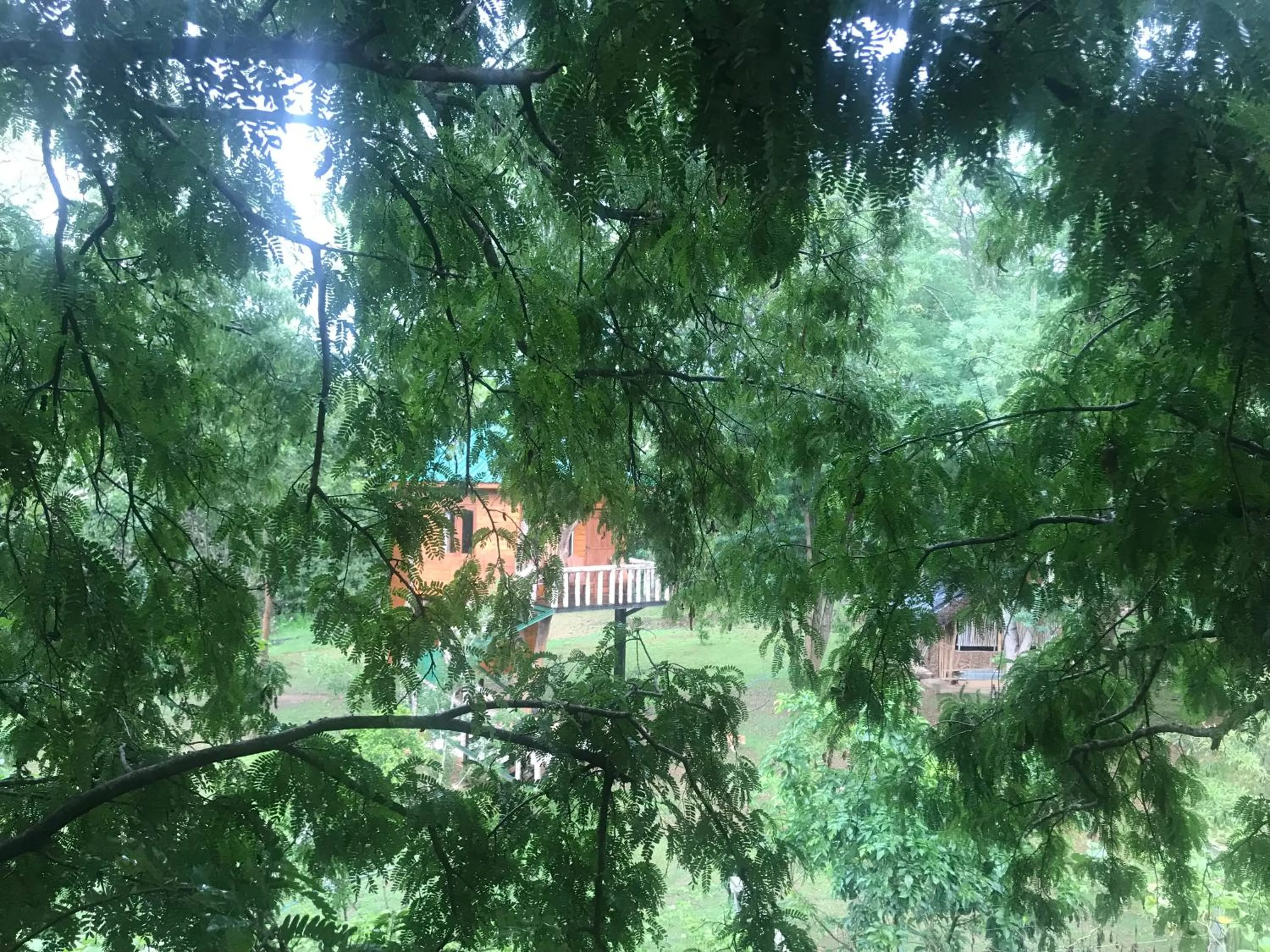 Garden view in La Pentera