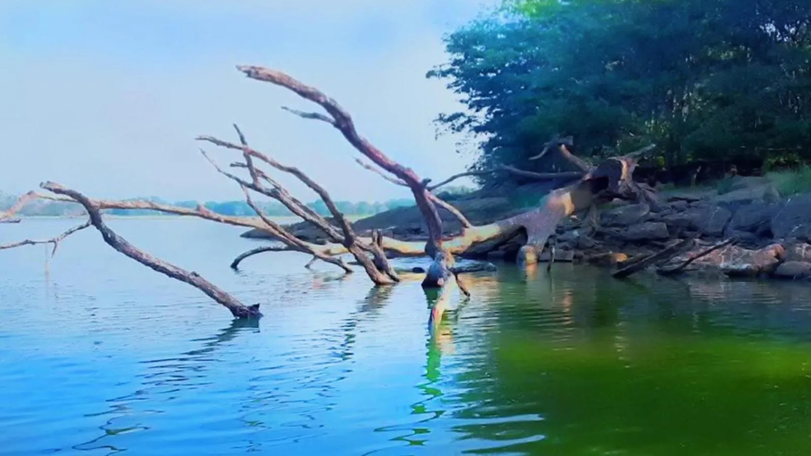 Neighbourhood in La Pentera