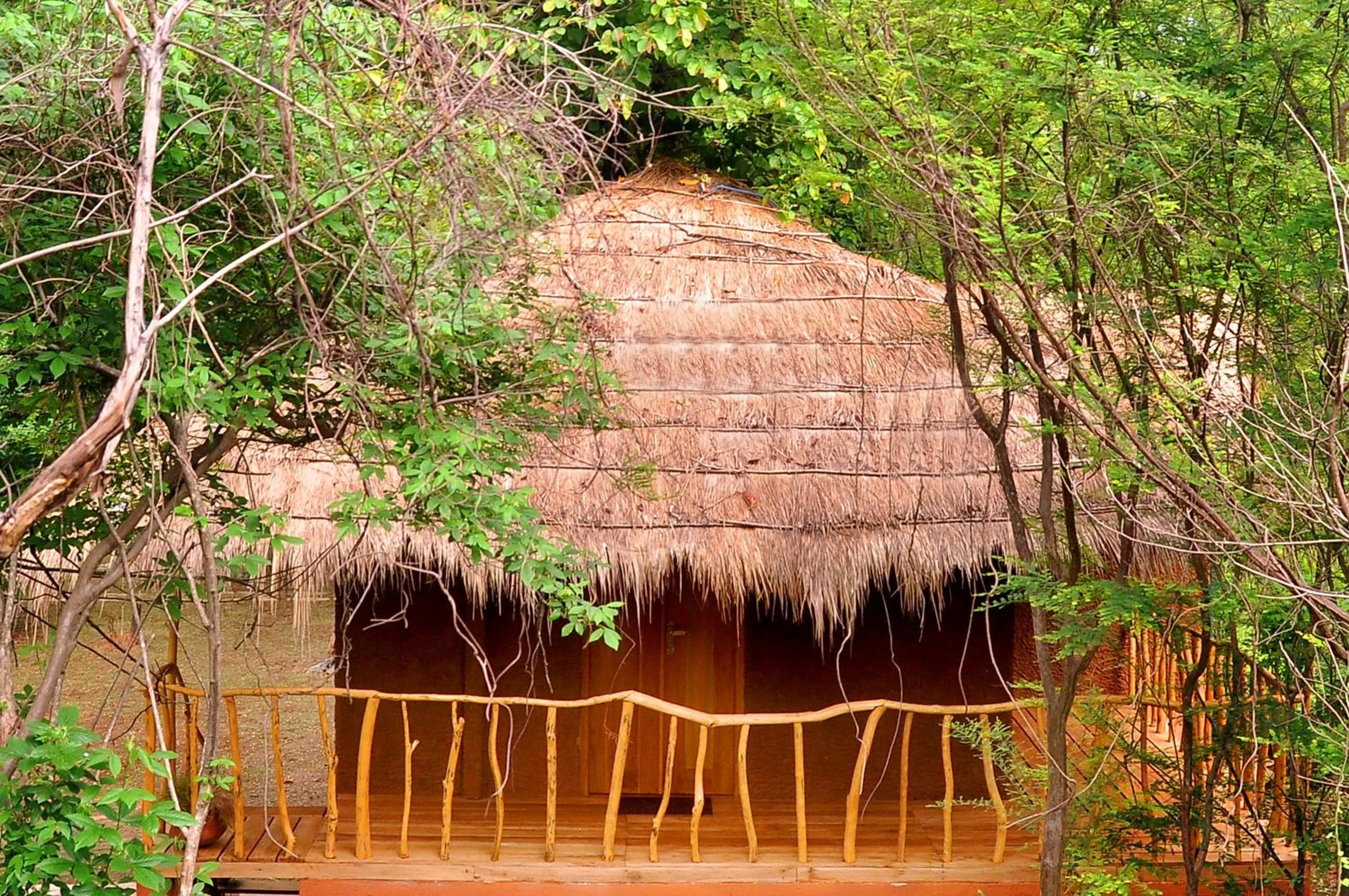 Photo of the whole room in La Pentera