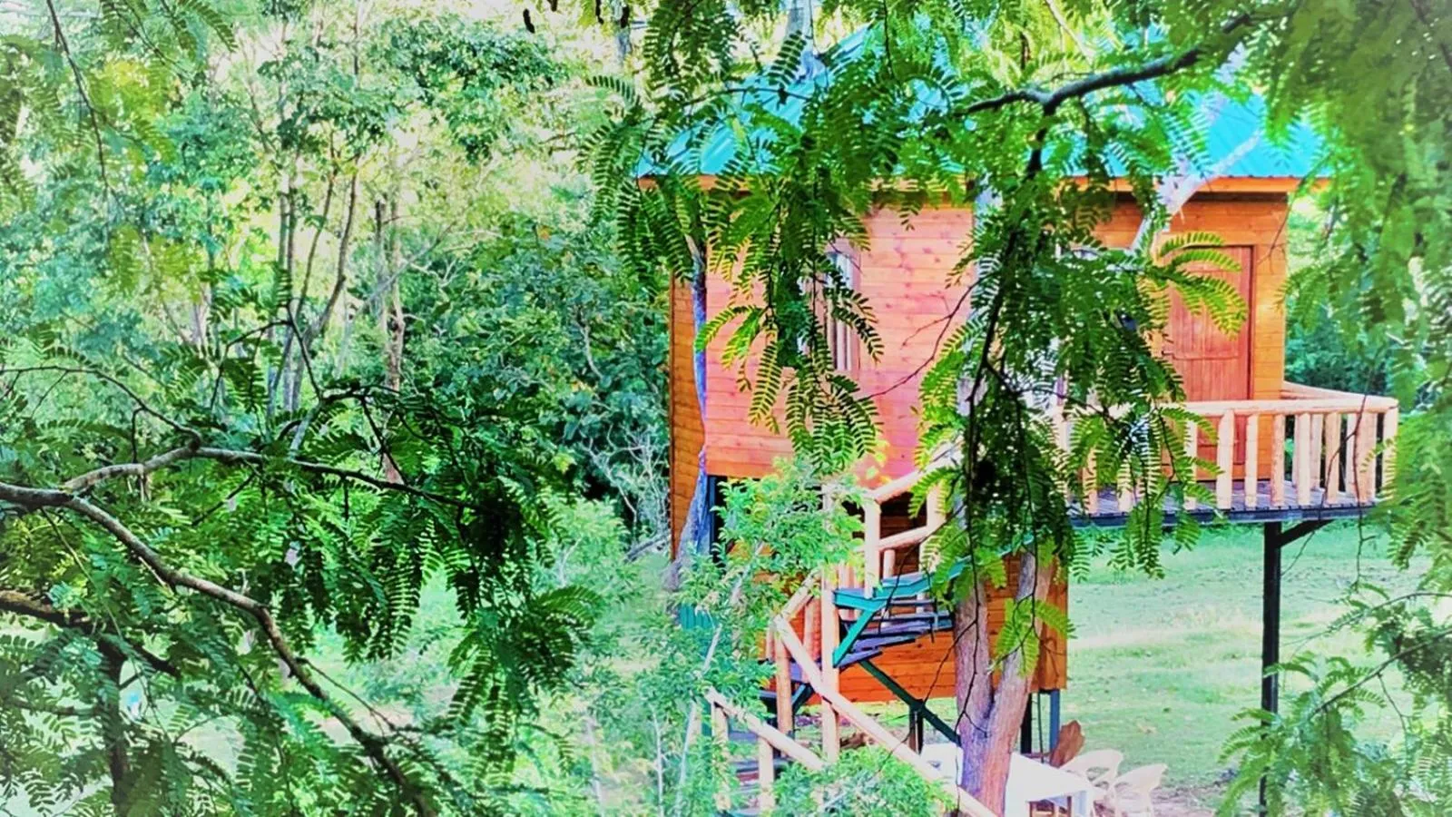 Garden view in La Pentera